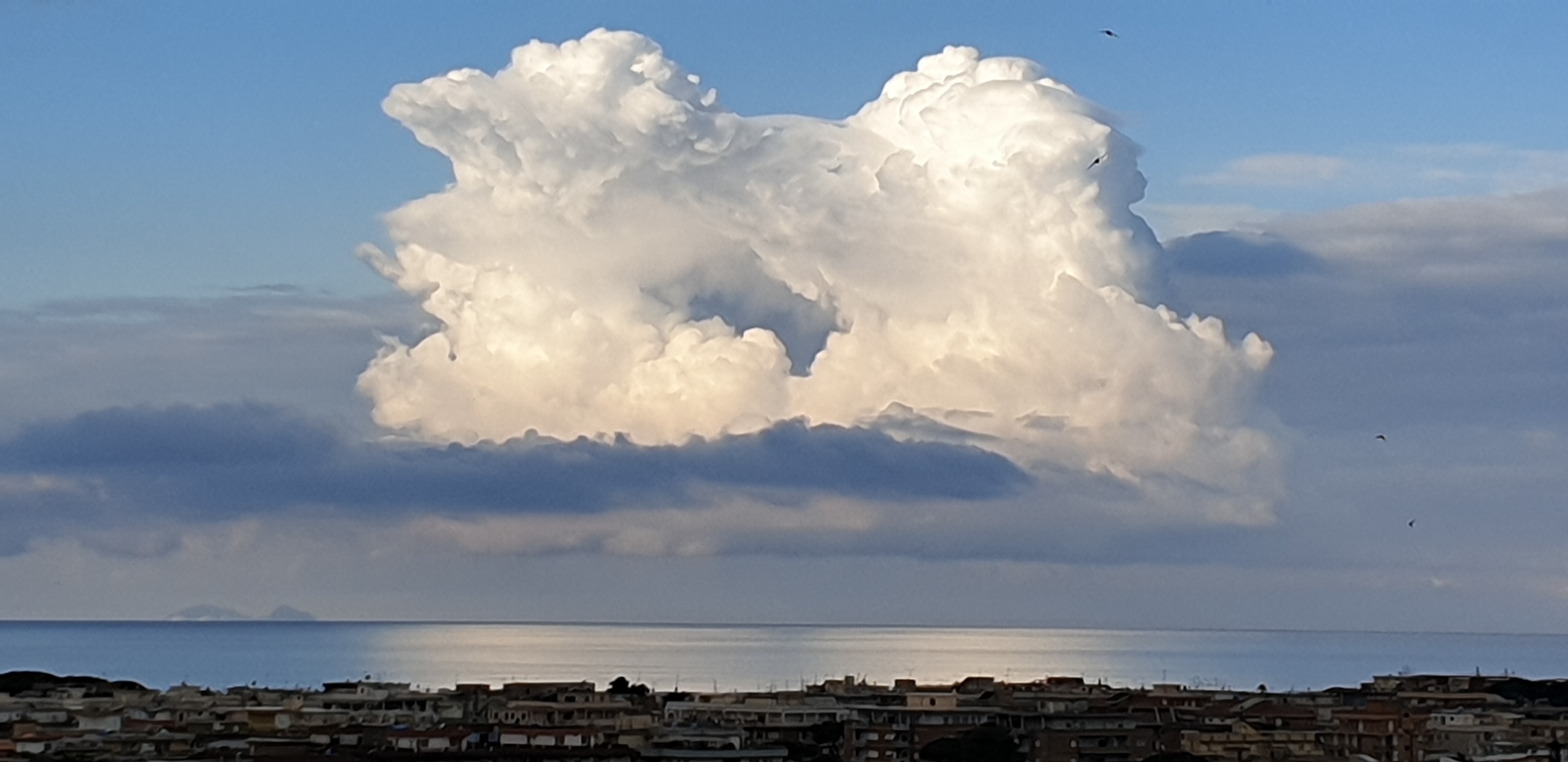 20190414_081551.jpg