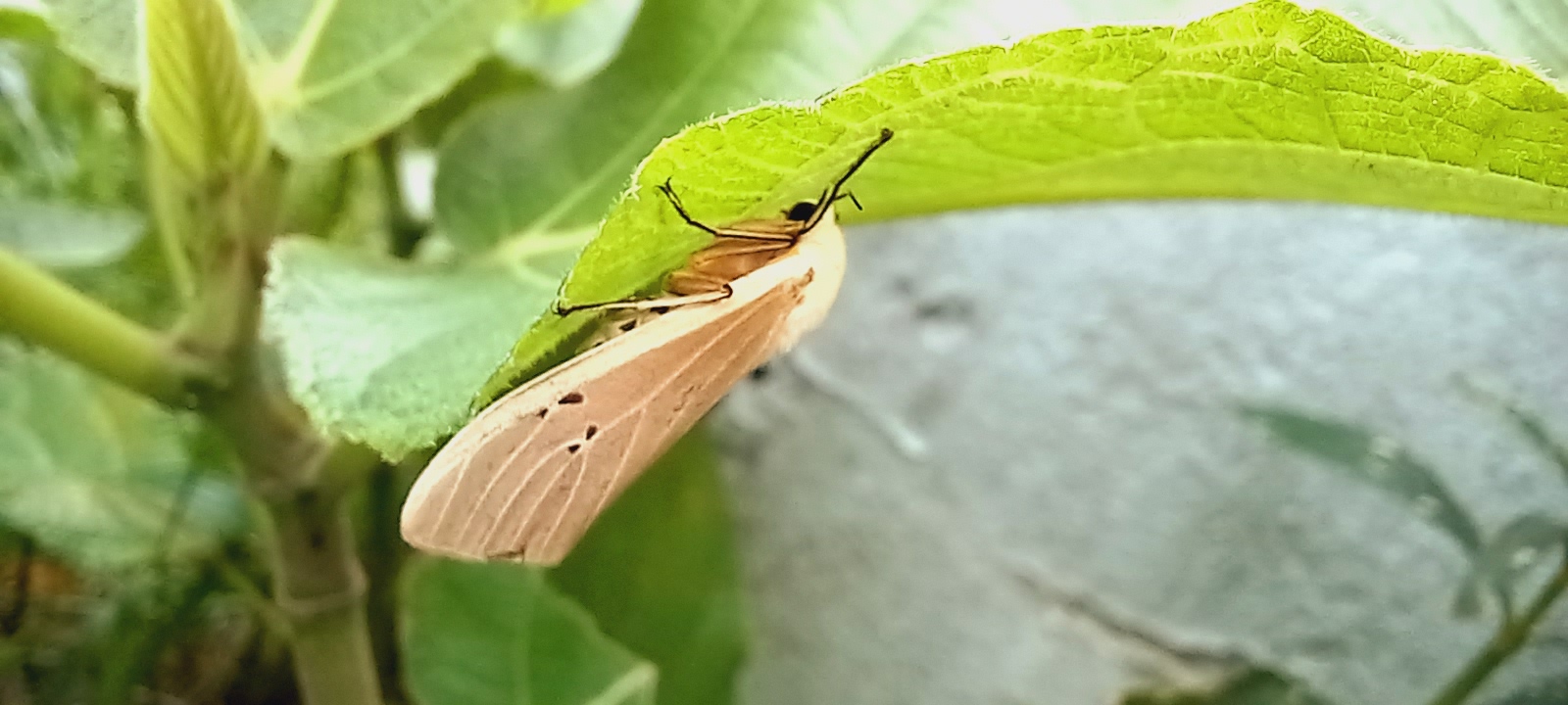 20250718_152806.jpg