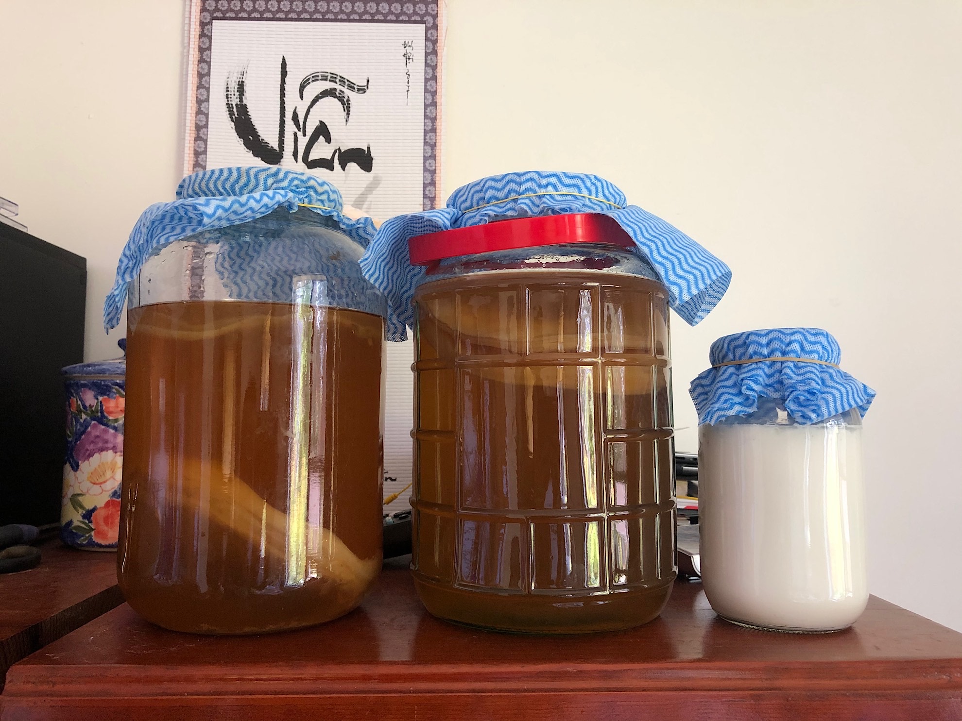 Brewing Yerba Maté Kombucha