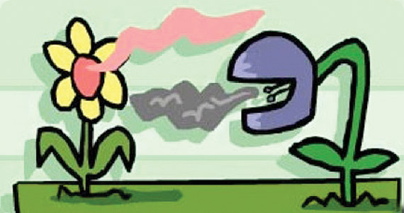 articles-howplantscommunicate_text_3.jpg