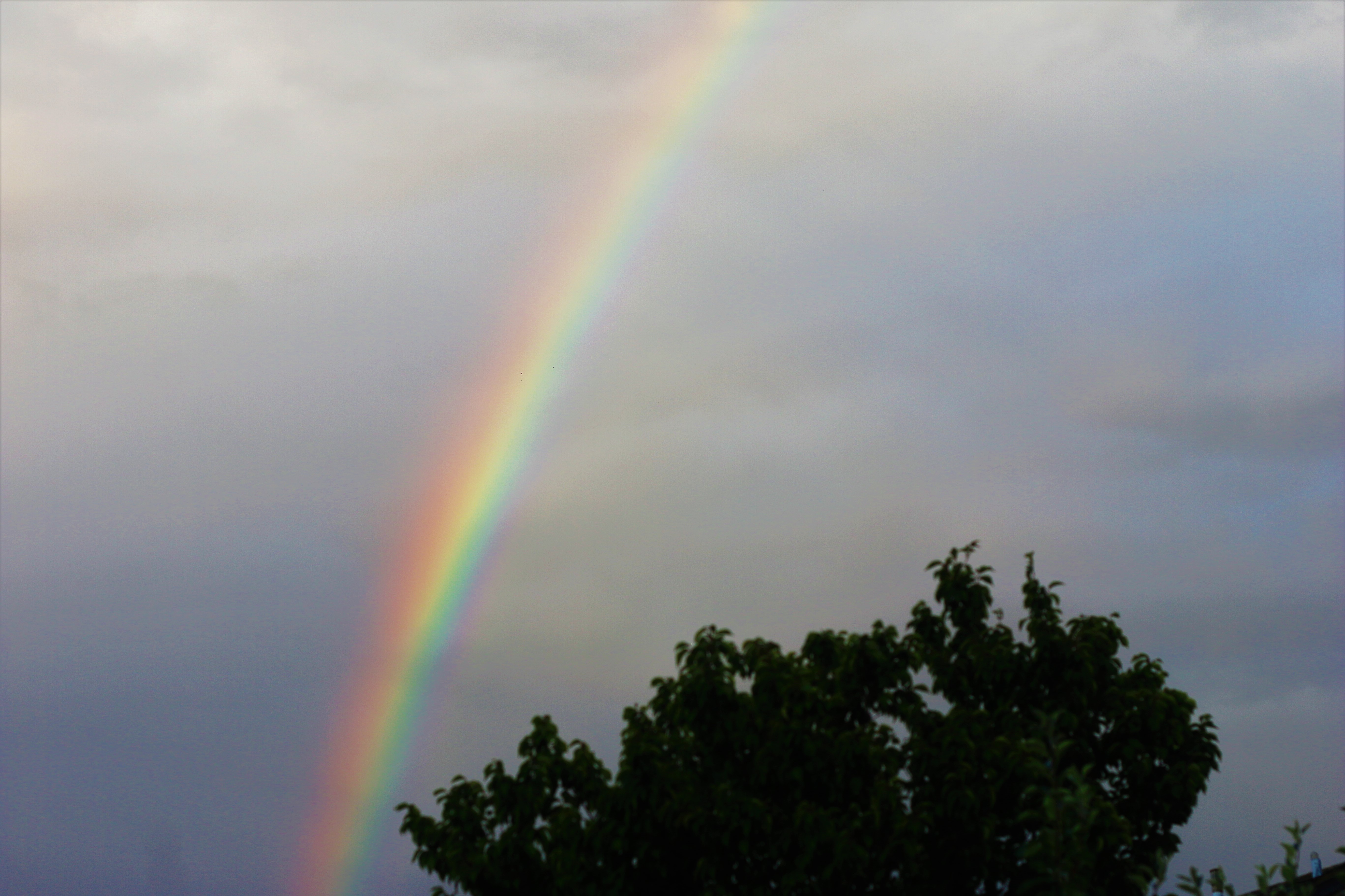 rainbow f5.6 1 250 100 50 mm.jpg