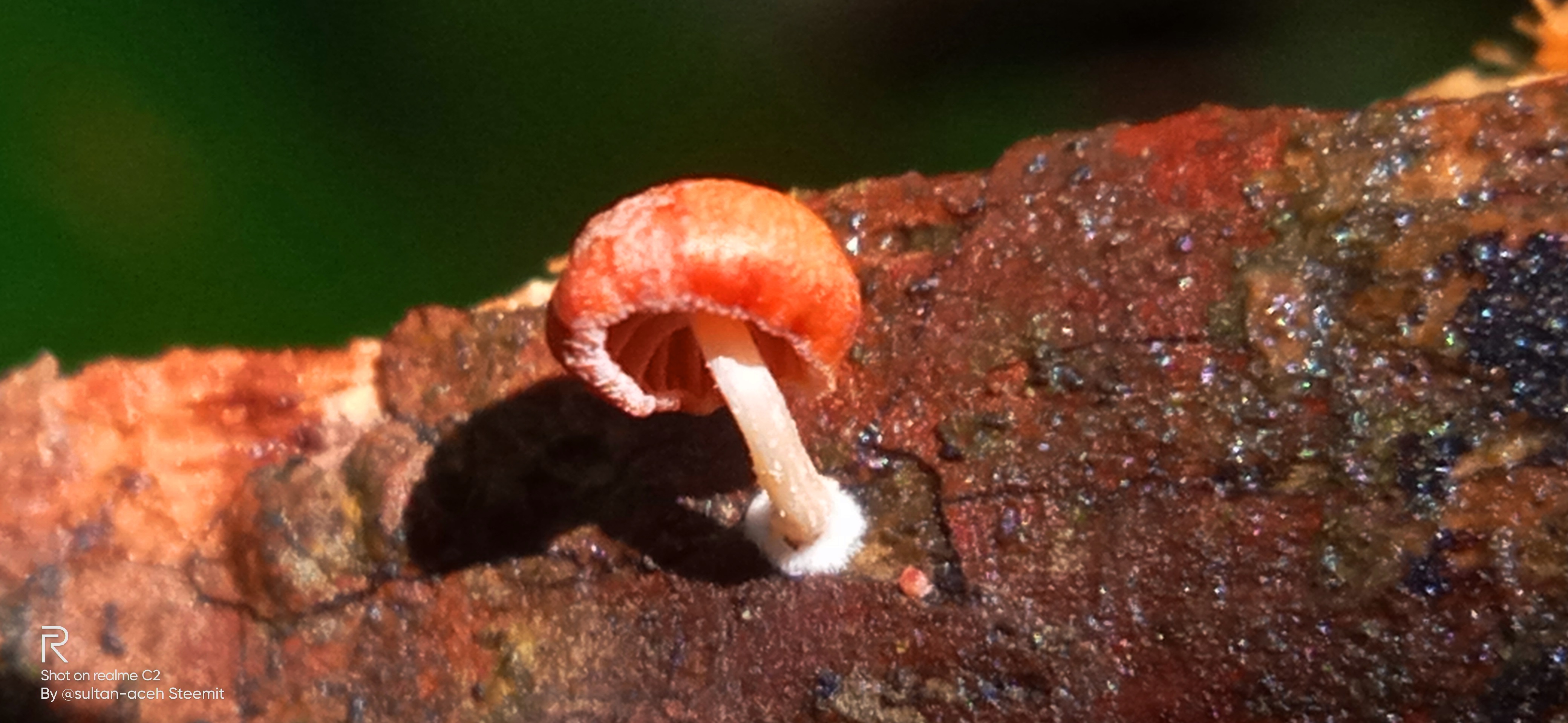 IMG20211201121527.jpg