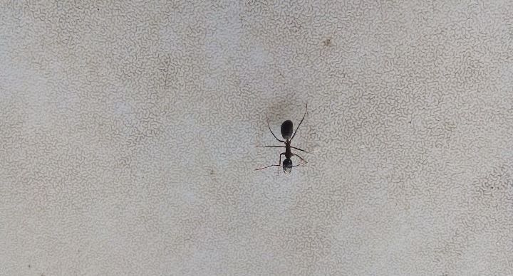 20260220-105544~2.jpg