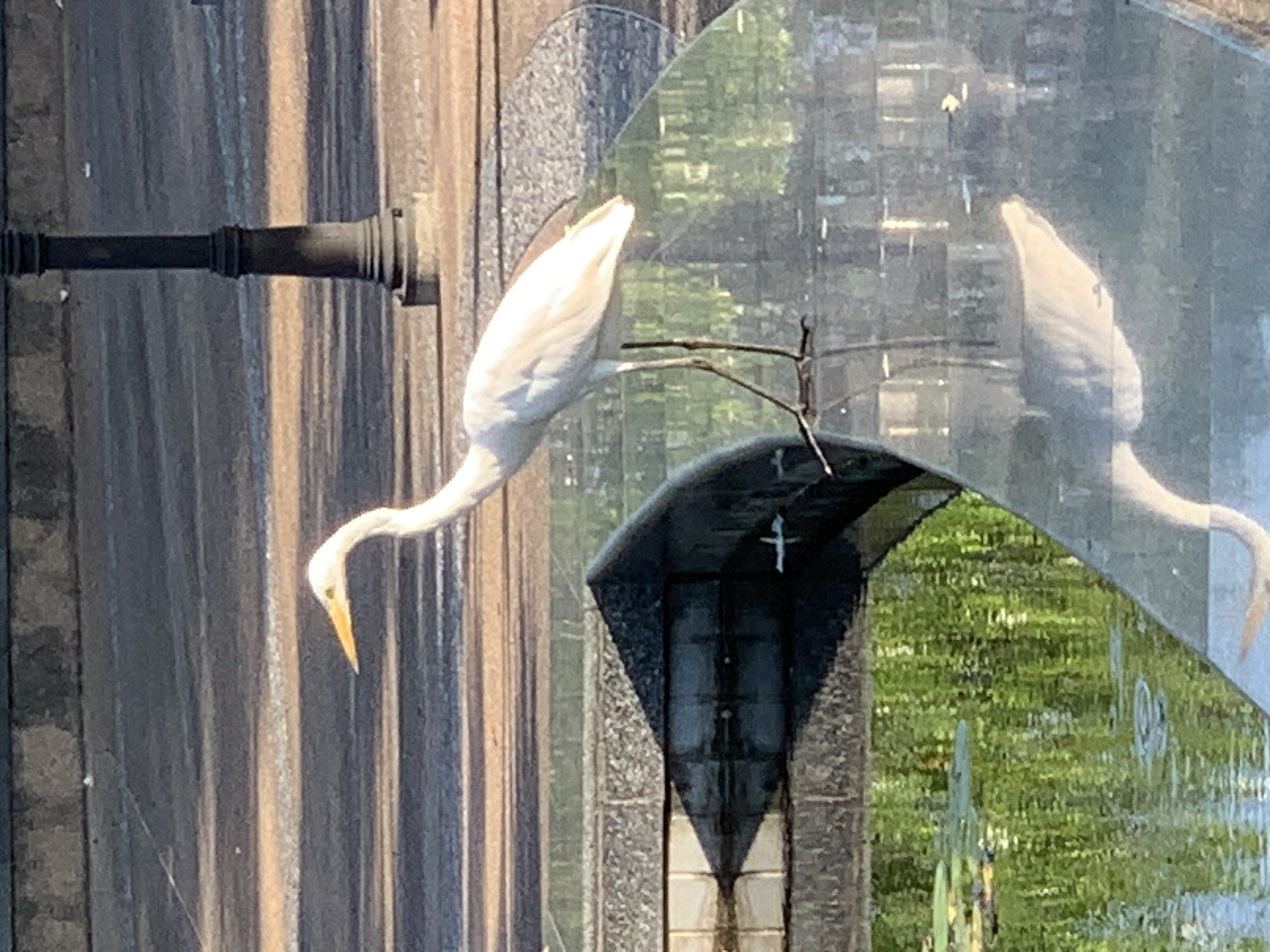 birdwatching spots6.jpg