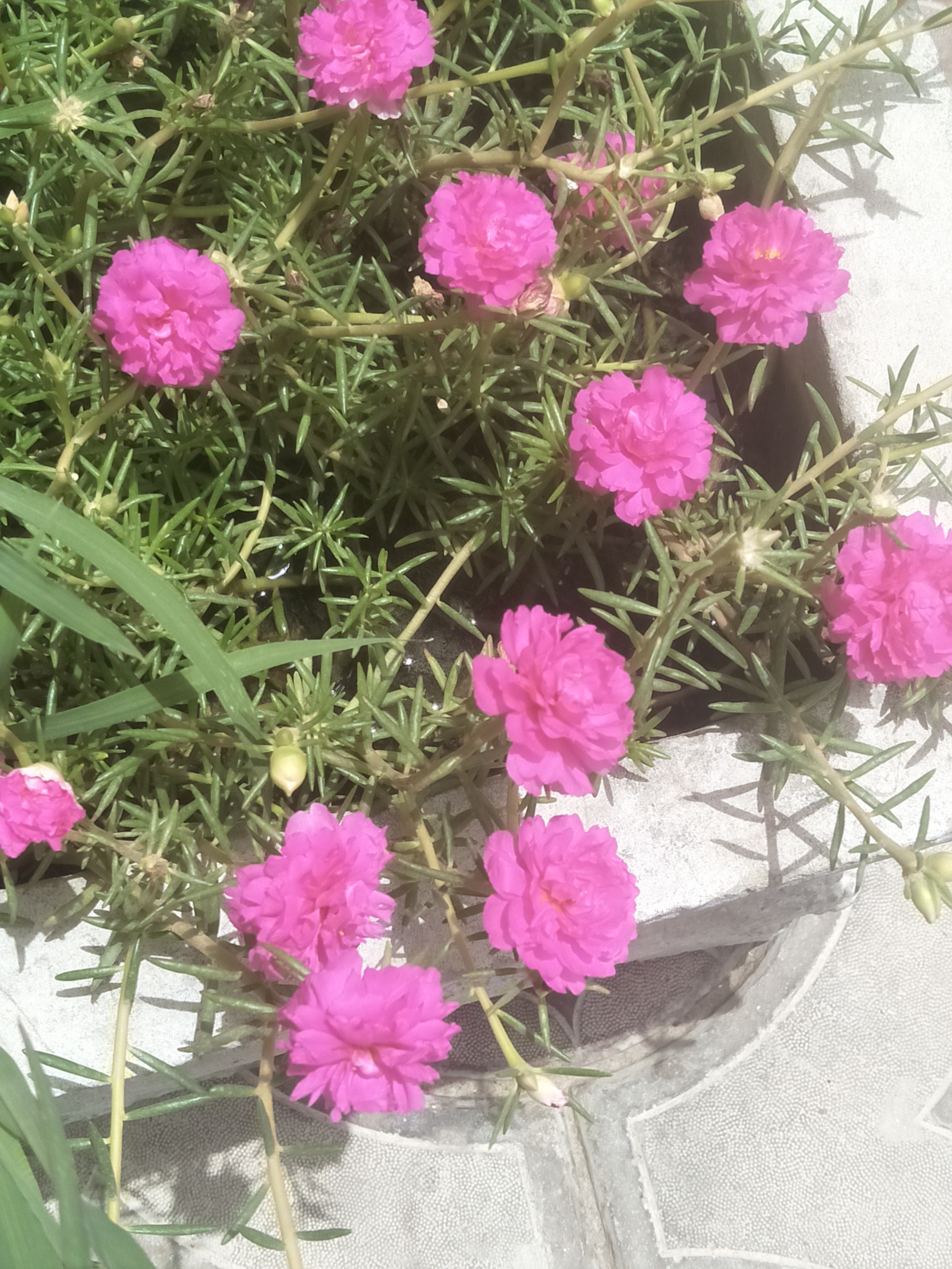IMG20210624111115.jpg