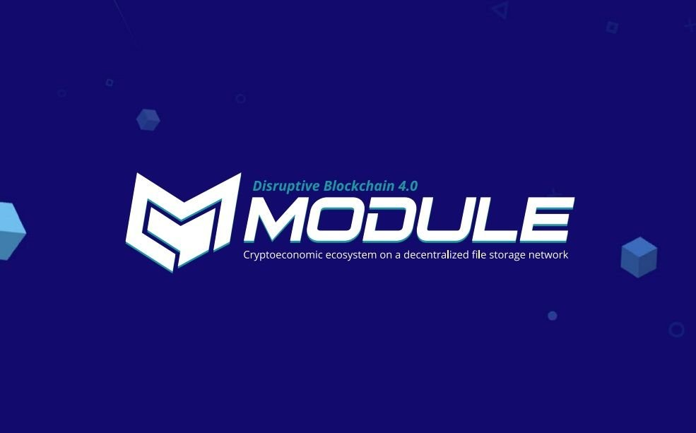 The module project