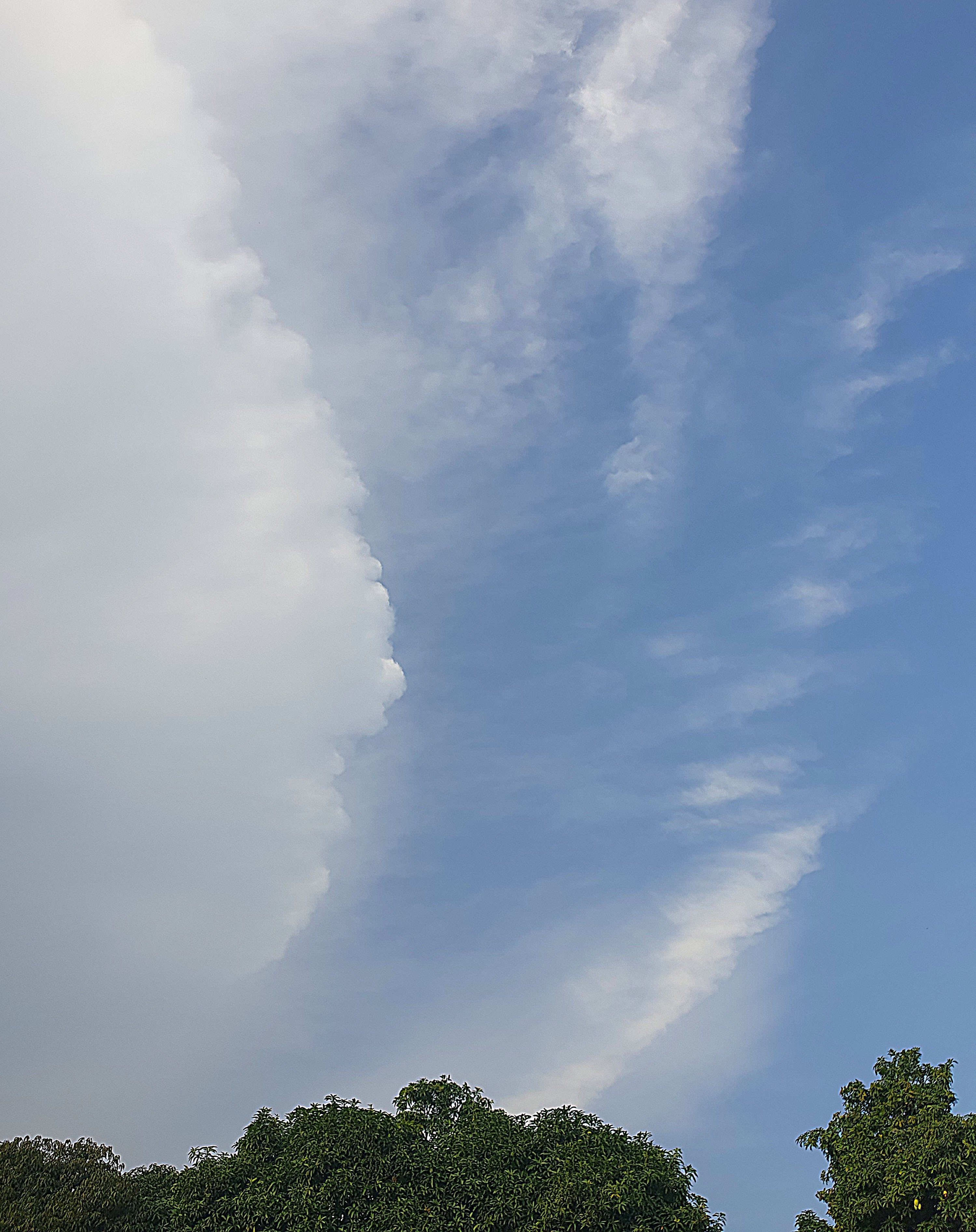 20260529_171940.jpg