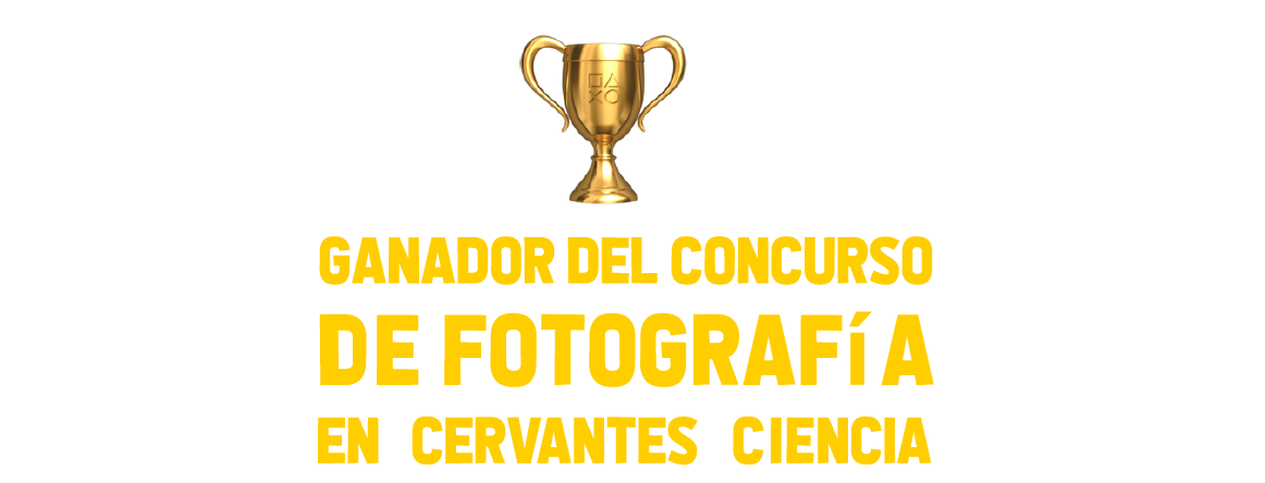 ganador-02-07.jpg