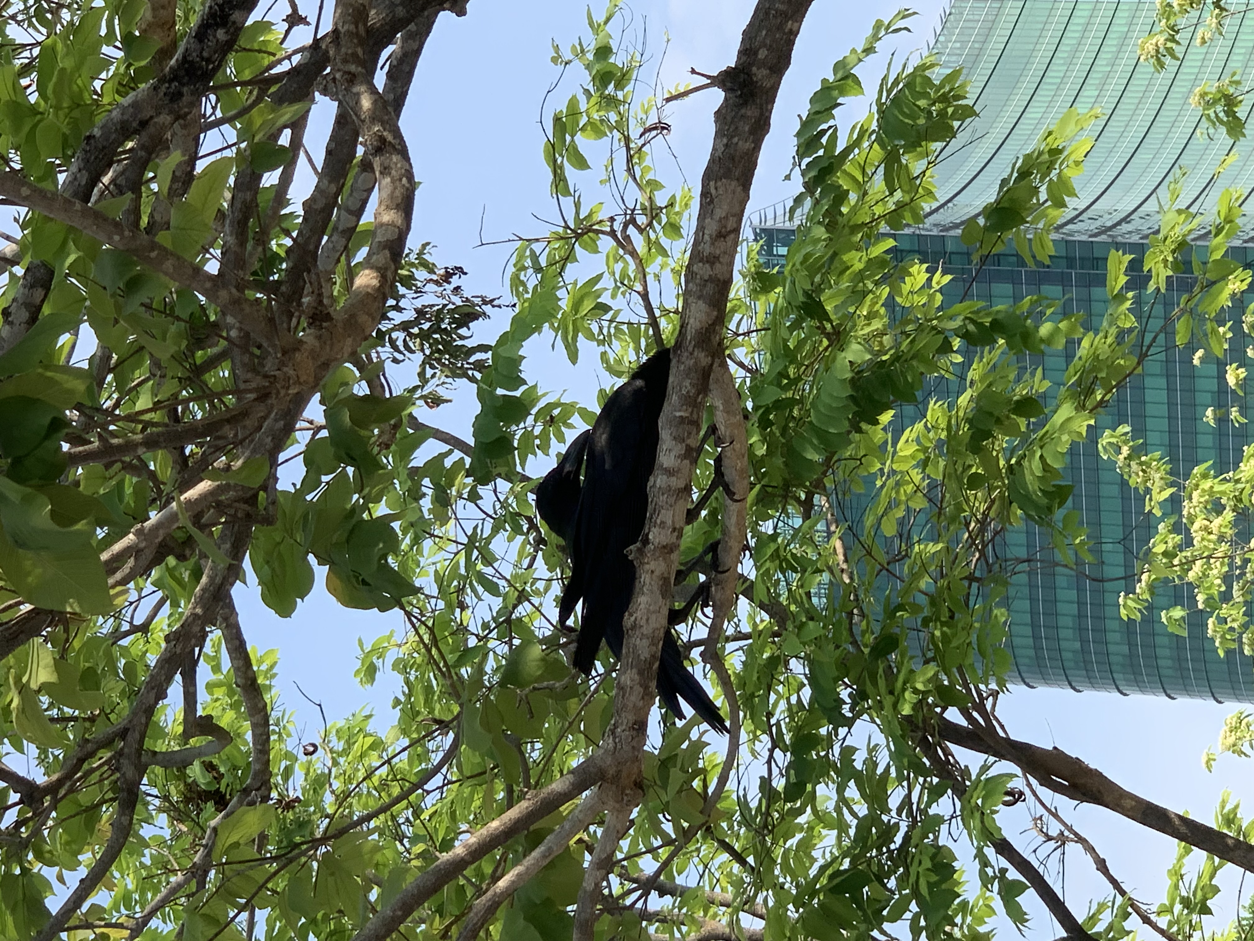 birdwatching spots35.jpg