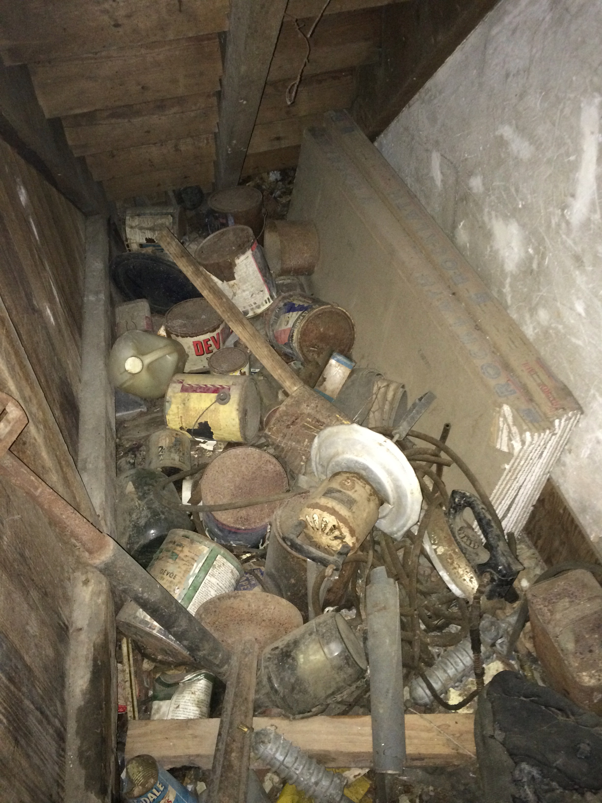 Trasure Junk.jpg