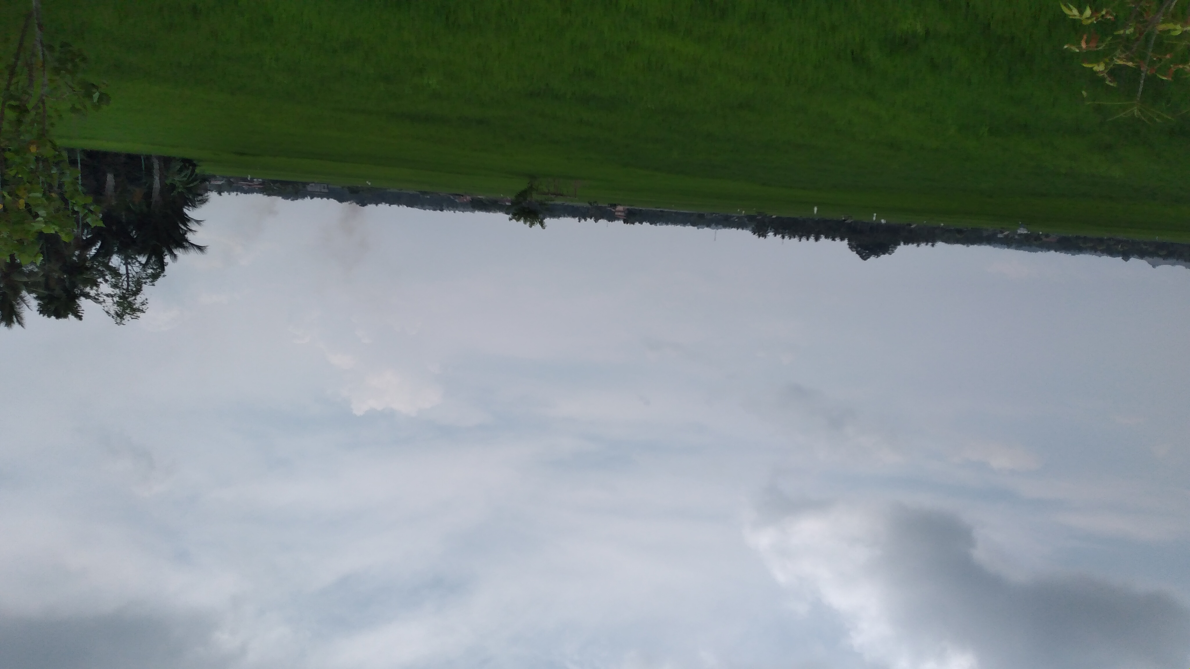 20240326_115956.jpg