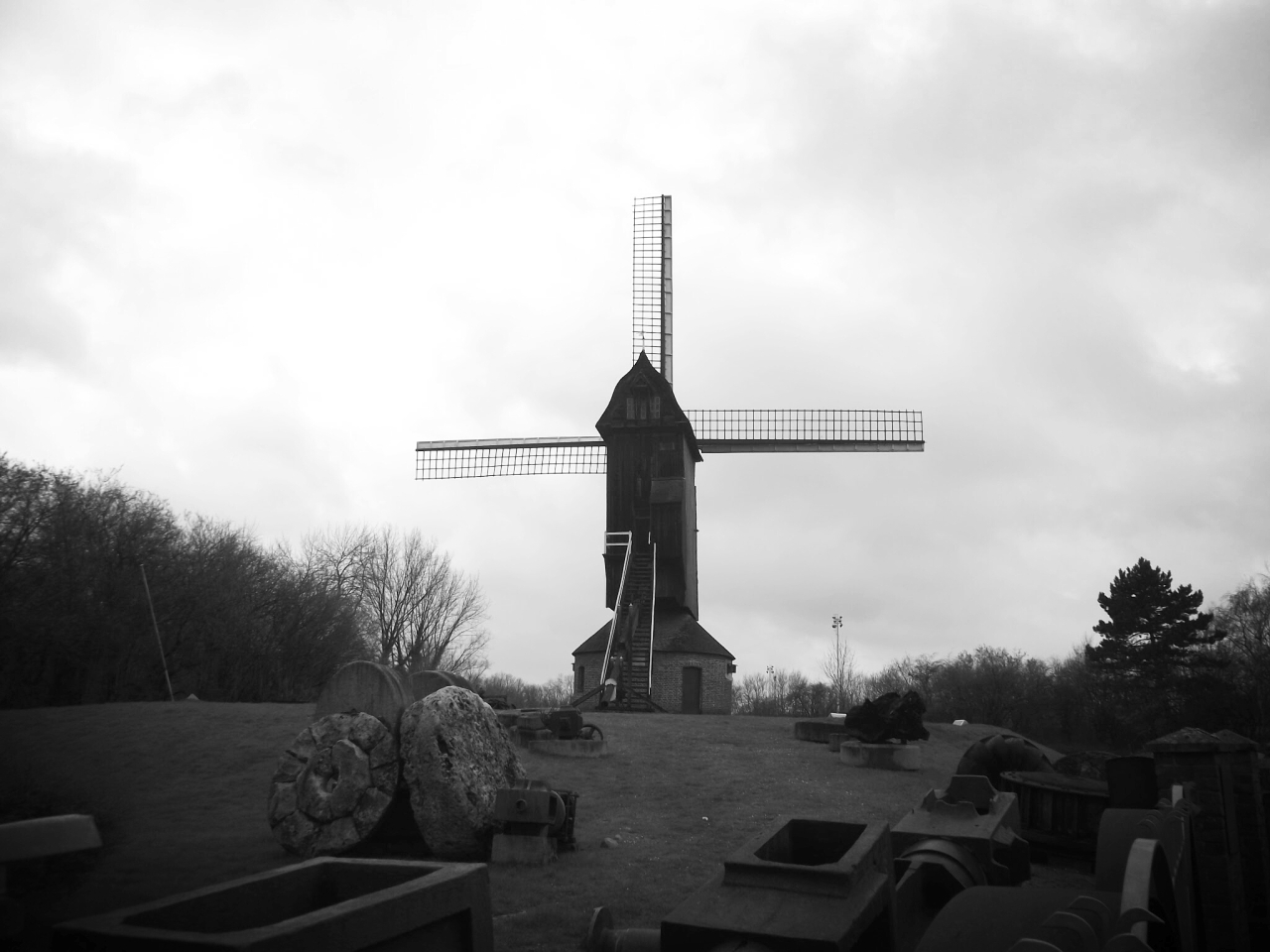 20211003_172558.jpg