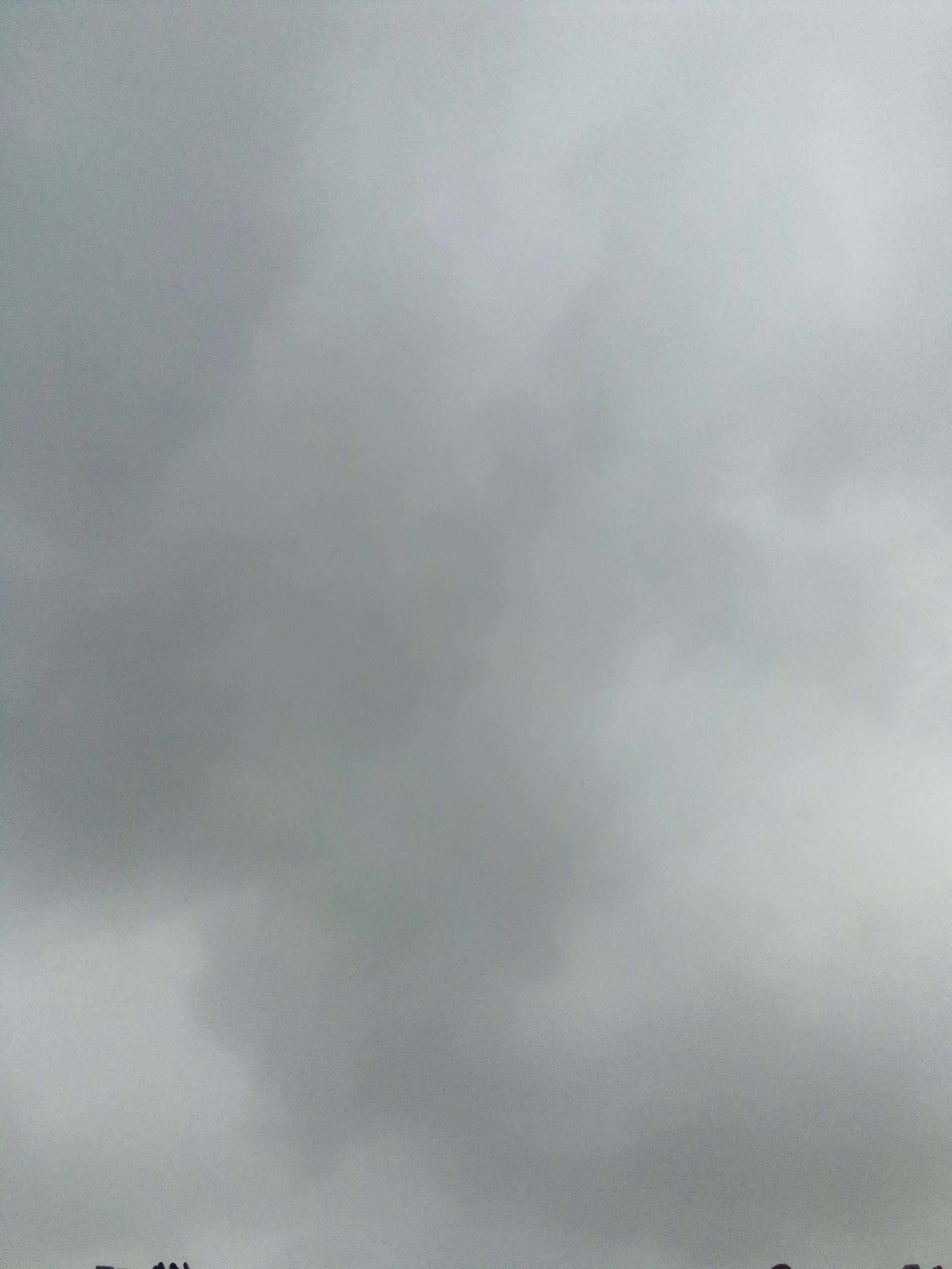 IMG_20260728_081635_067.jpg