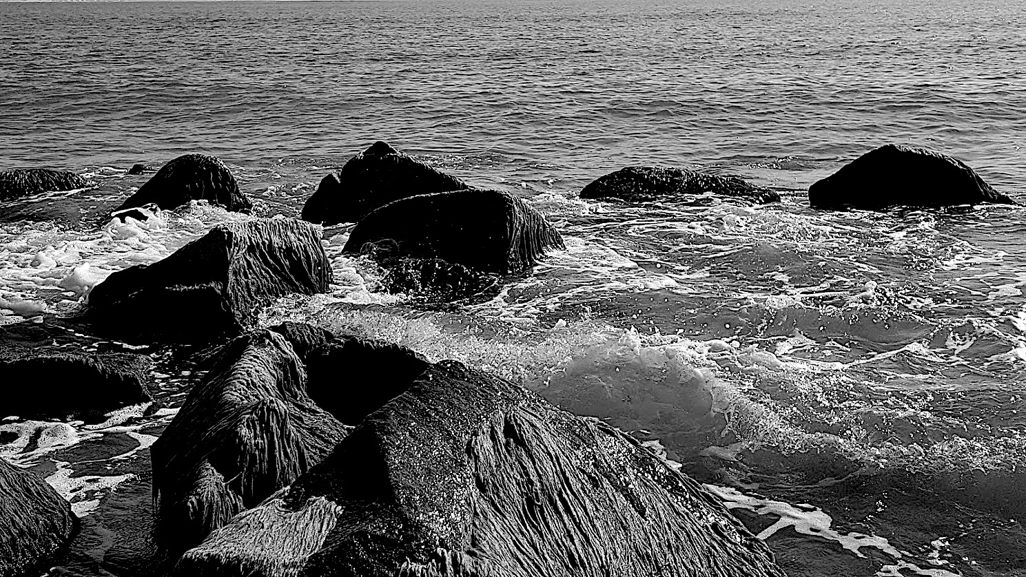 20180910_095909.jpg