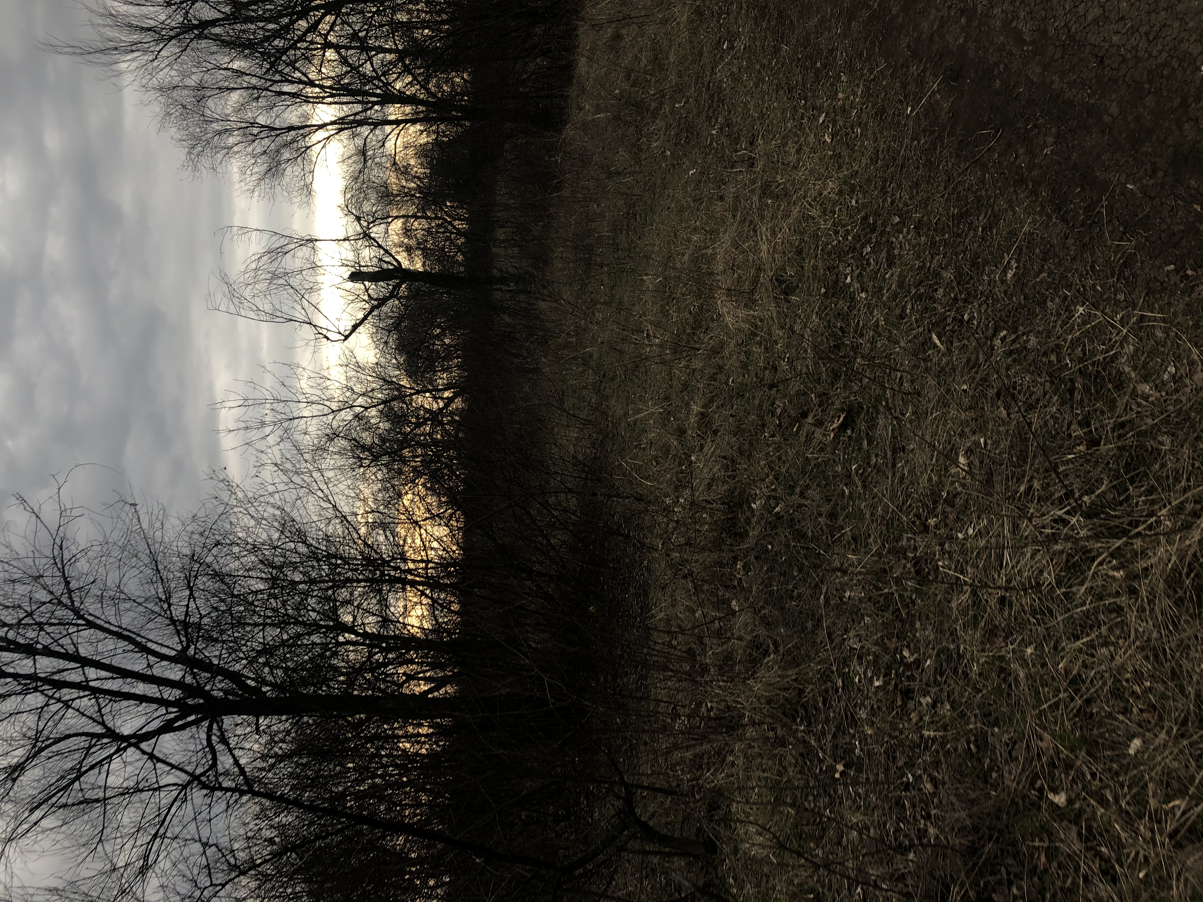 DE72EDF0-CDAE-4103-80DE-3FA18E66D317.jpeg