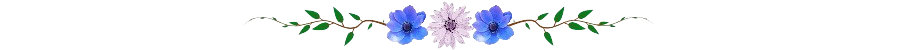 20240508_230755_0000-removebg-preview.png
