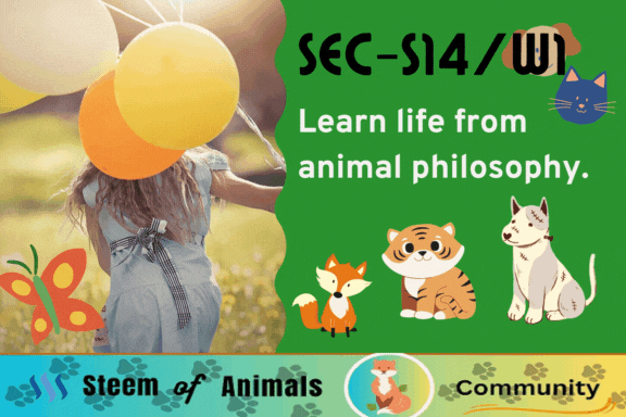 Green Minimalist Skincare Product Label (10).gif