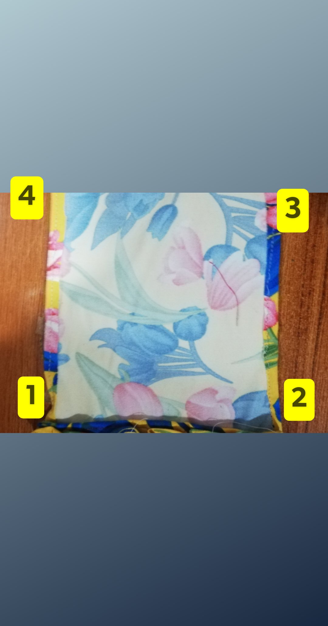USER_SCOPED_TEMP_DATA_orca-image--1107910267.jpeg
