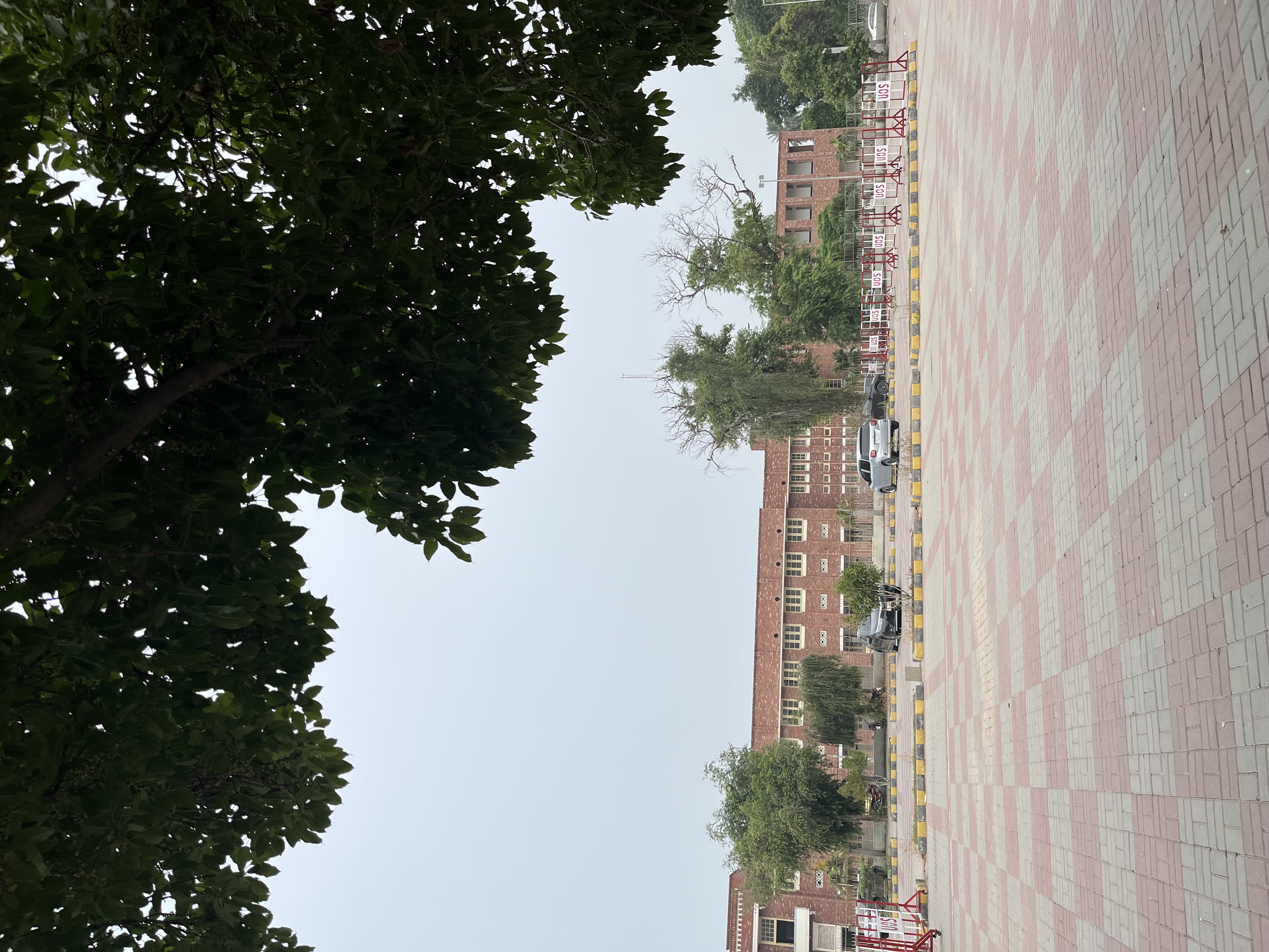 IMG_2620.jpeg
