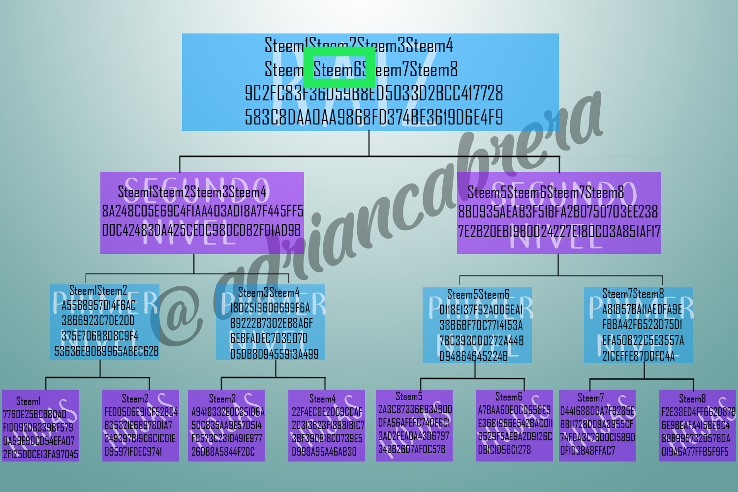 IMG_20210723_190225.png