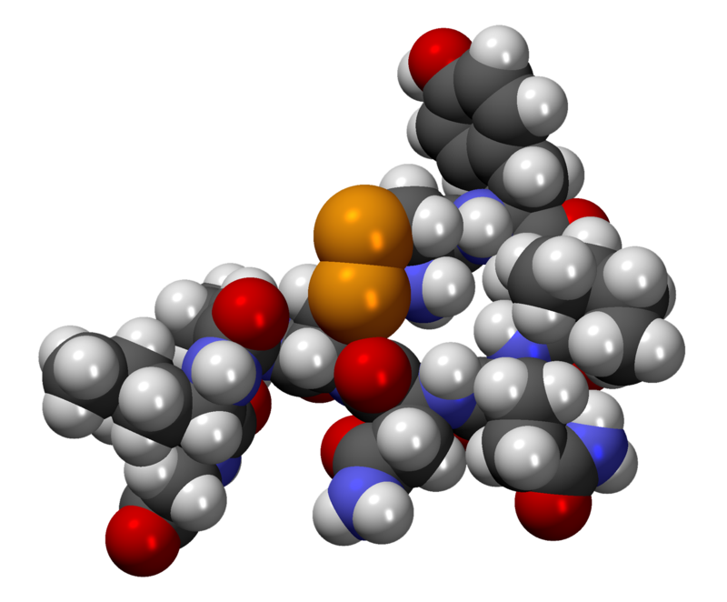 800px-OxitocinaCPK3D.png