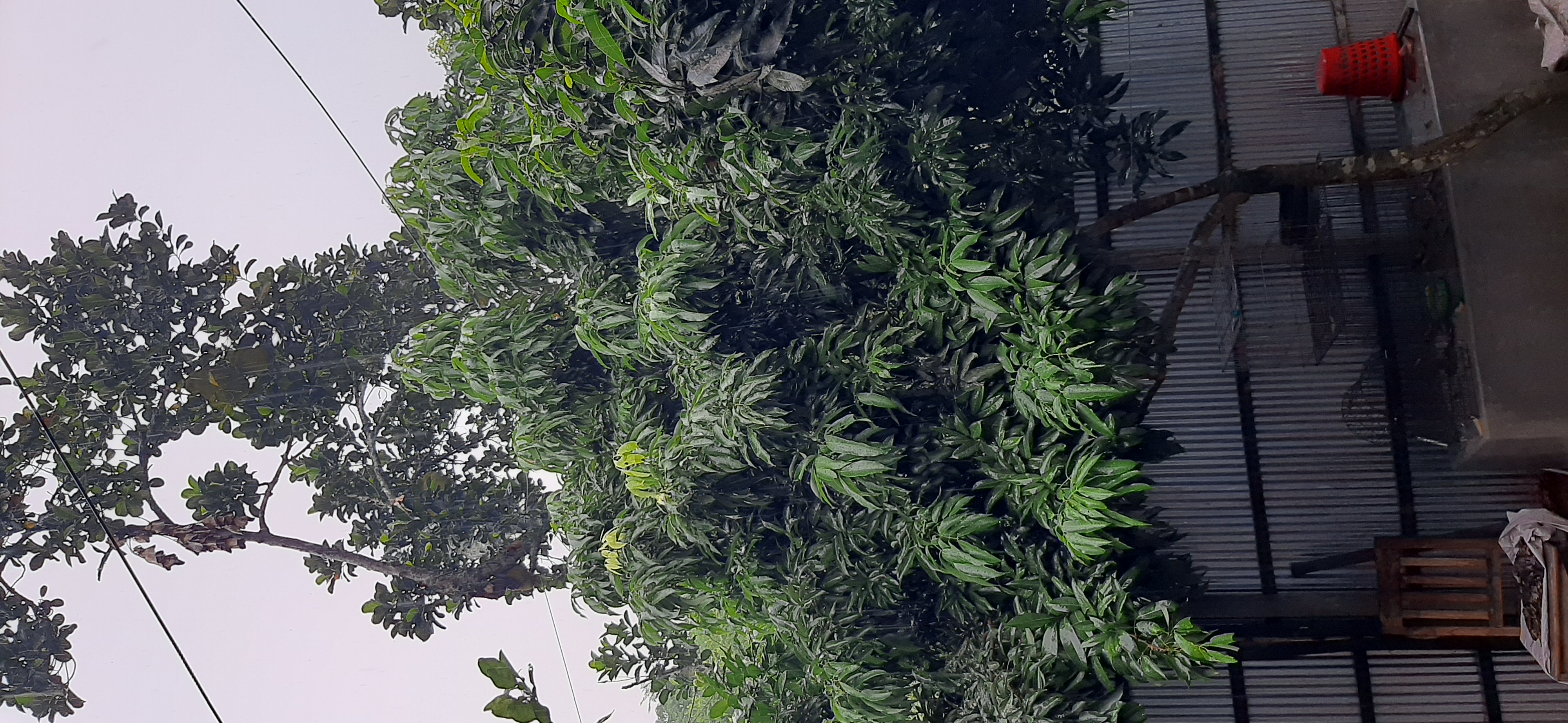 20230711_155050.jpg
