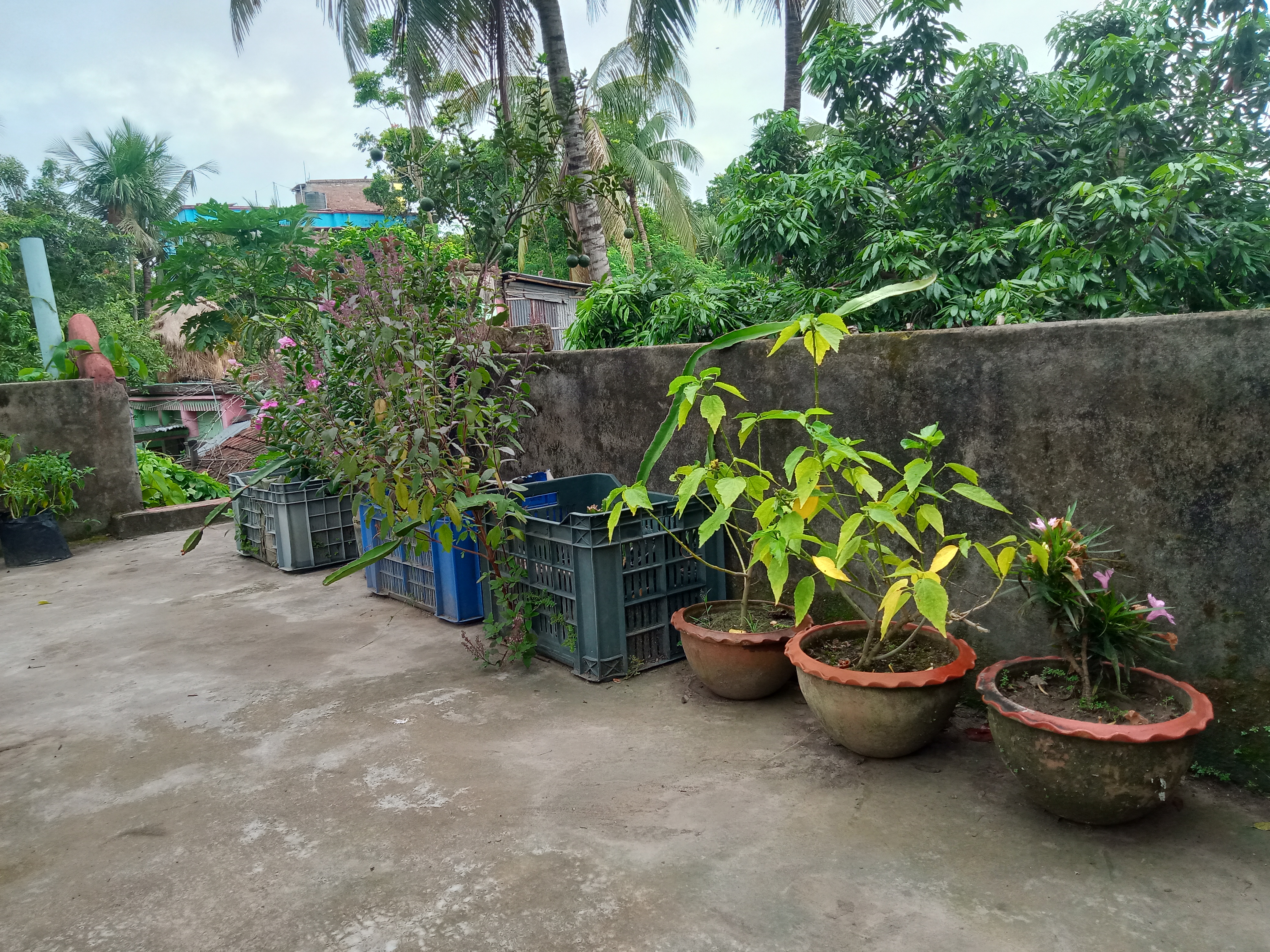 IMG20240628070220.jpg