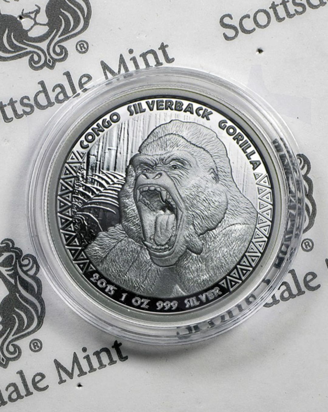 1000001973.jpg