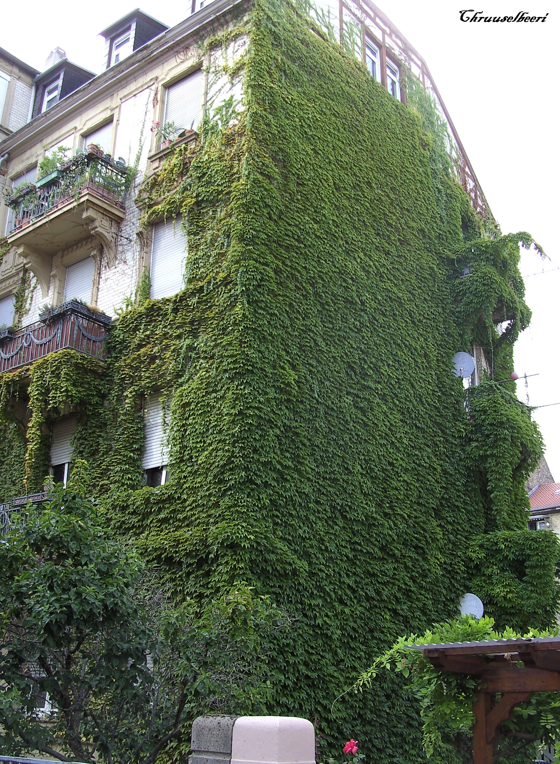 Begruente_Fassade_09.jpg