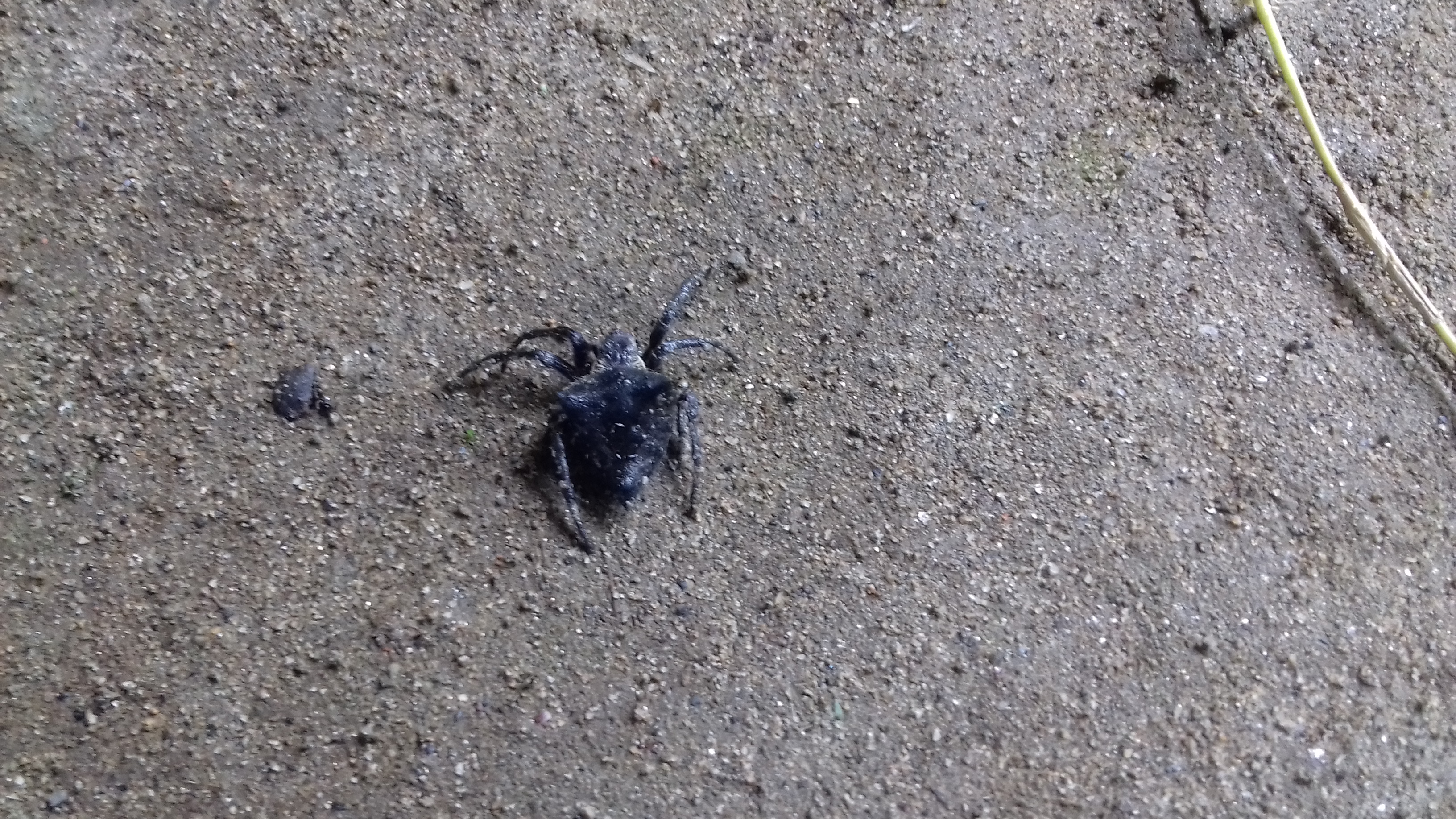 20180731_080353.jpg