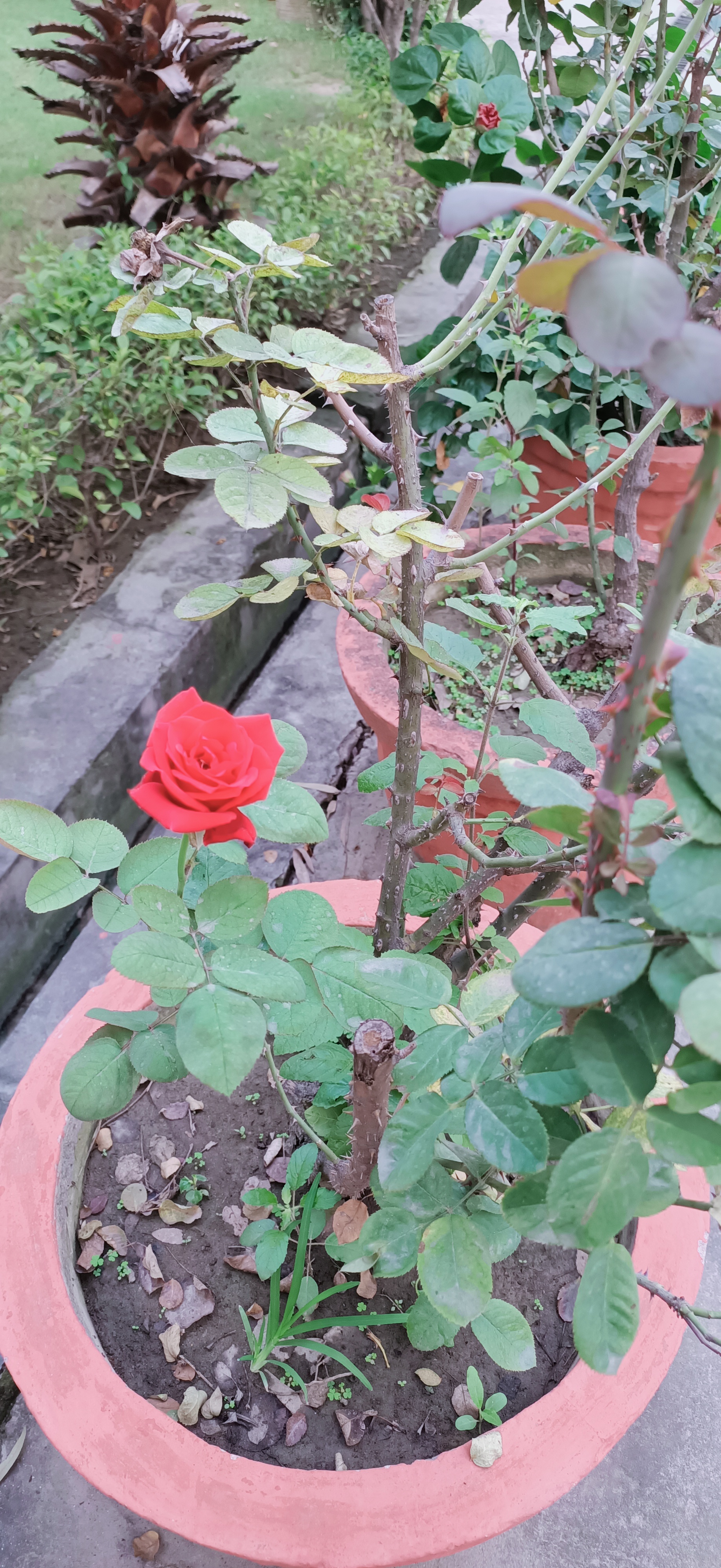 IMG20221018072904.jpg