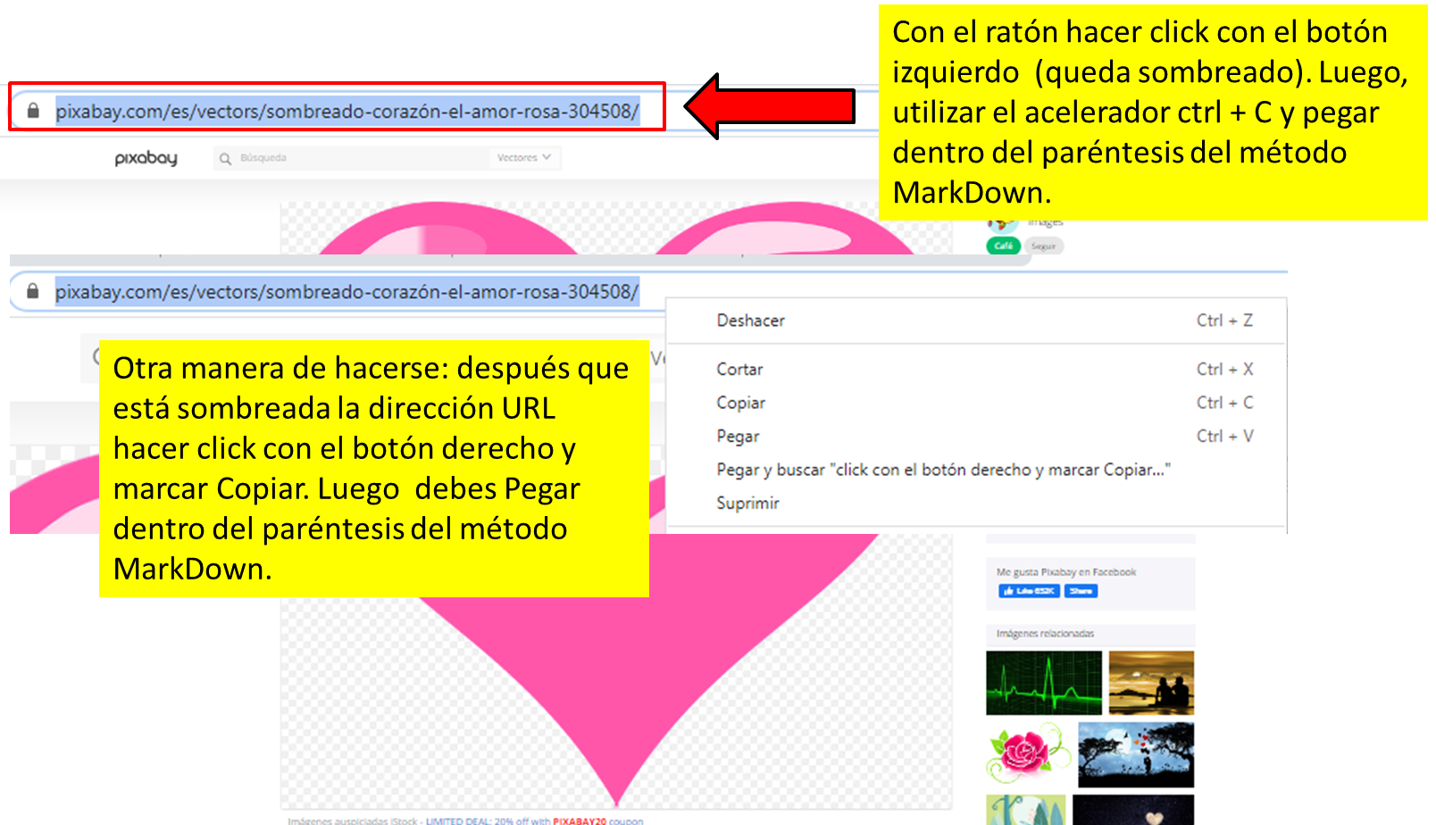 Para copiar dirección de la pagina.png