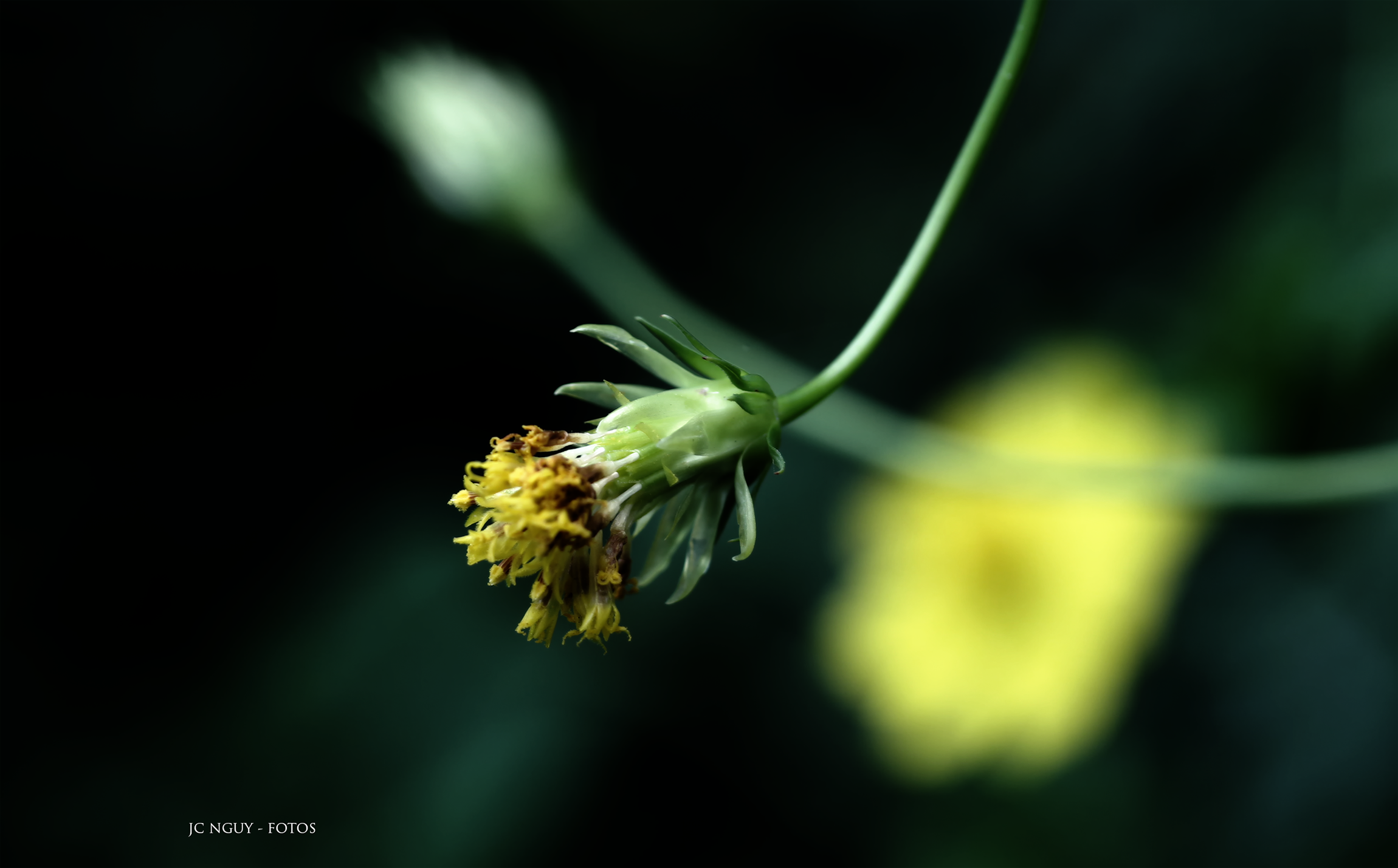 IMG_9466.png