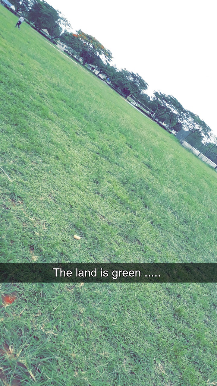 Snapchat-1863403292.jpg