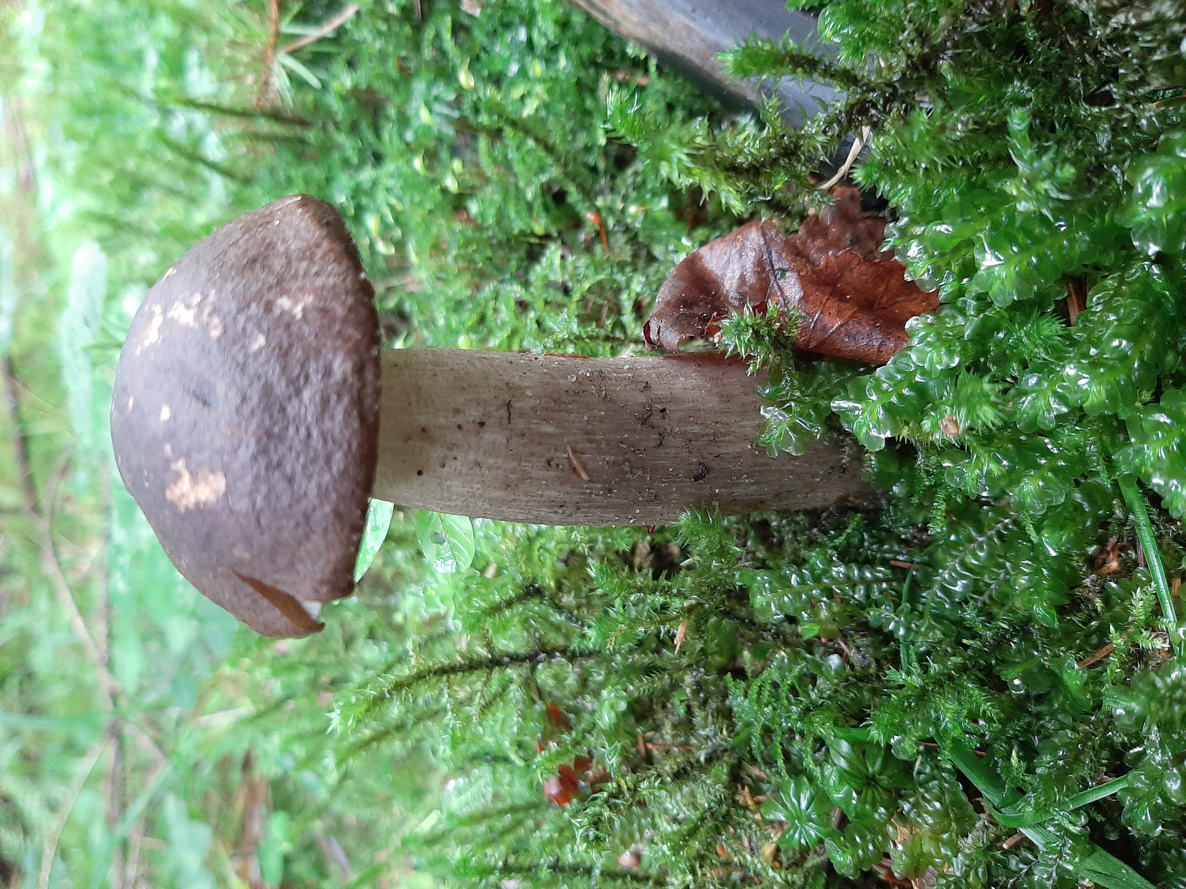 20260904_162503.jpg