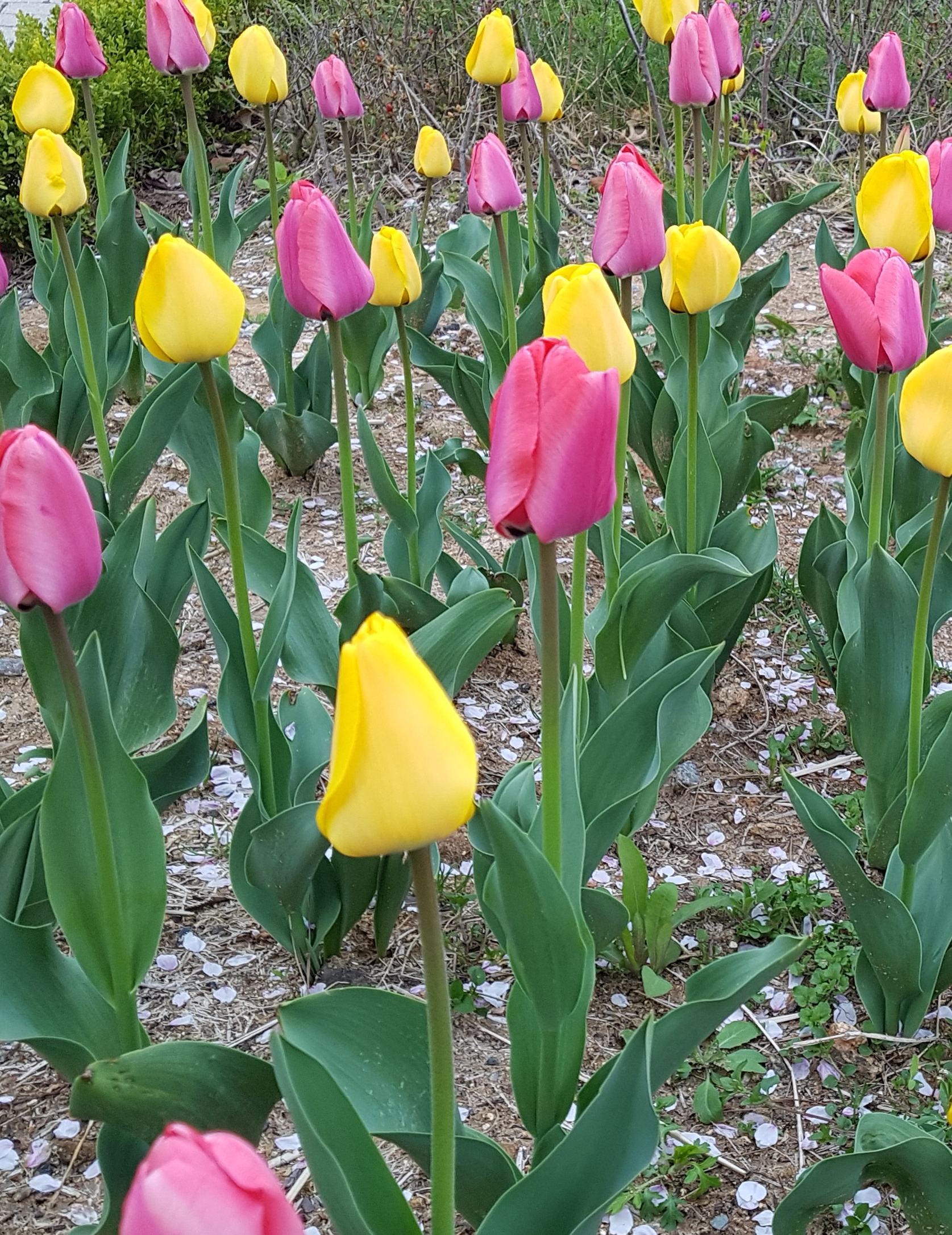 20190414_152632.jpg
