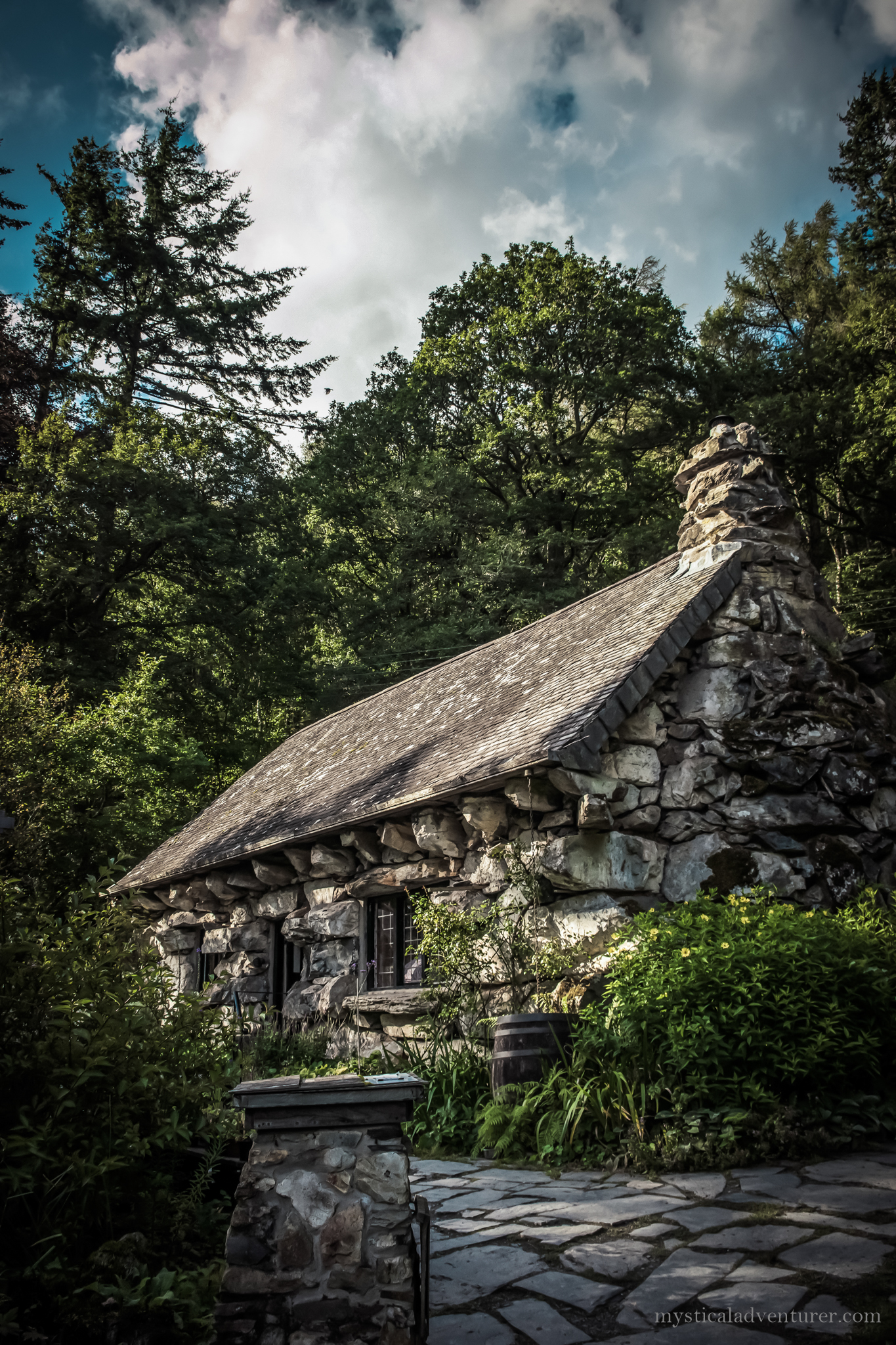 DSC_0680-2.jpg
