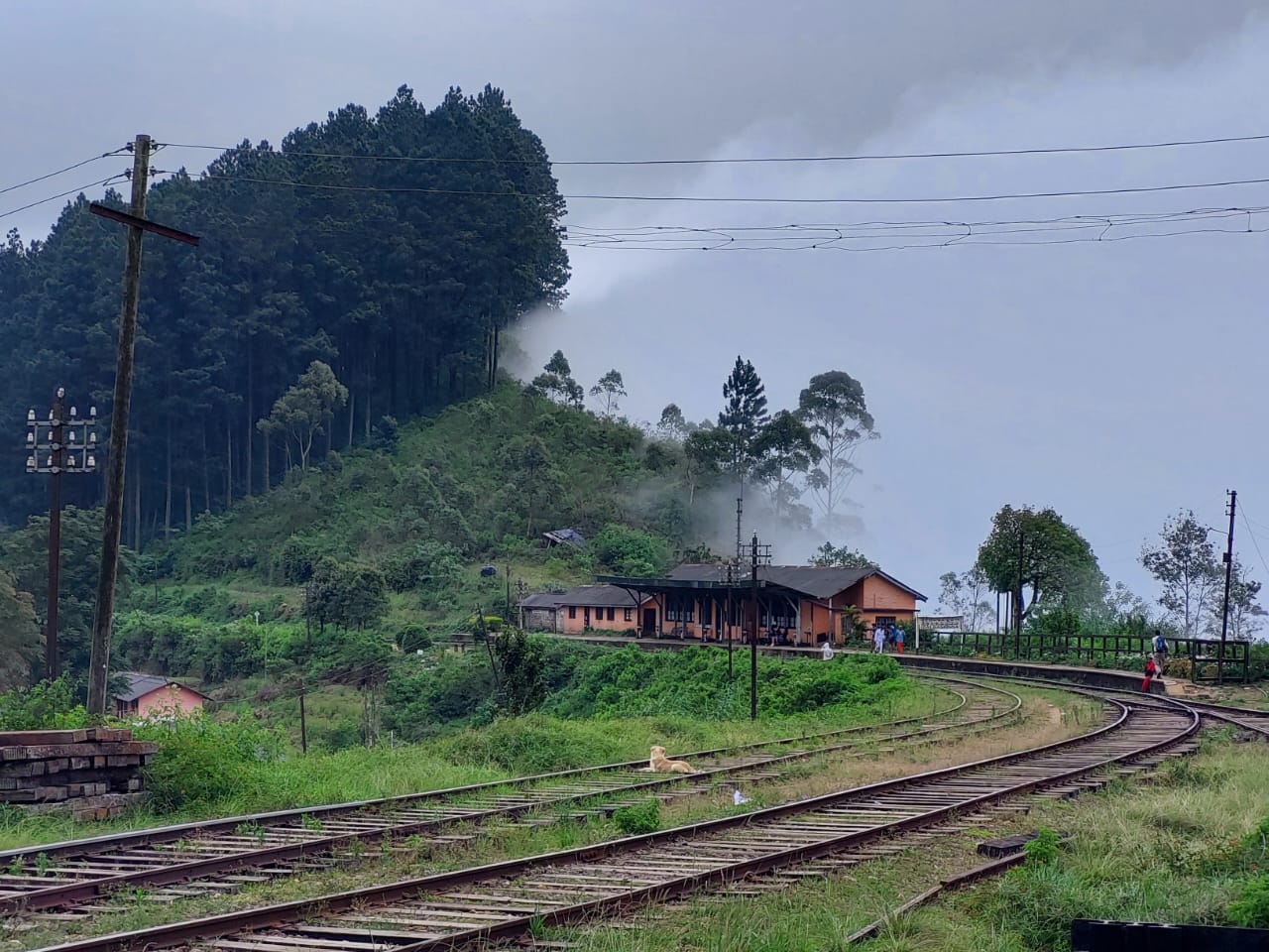 WhatsApp Image 2022-08-24 at 6.53.46 PM (1).jpeg