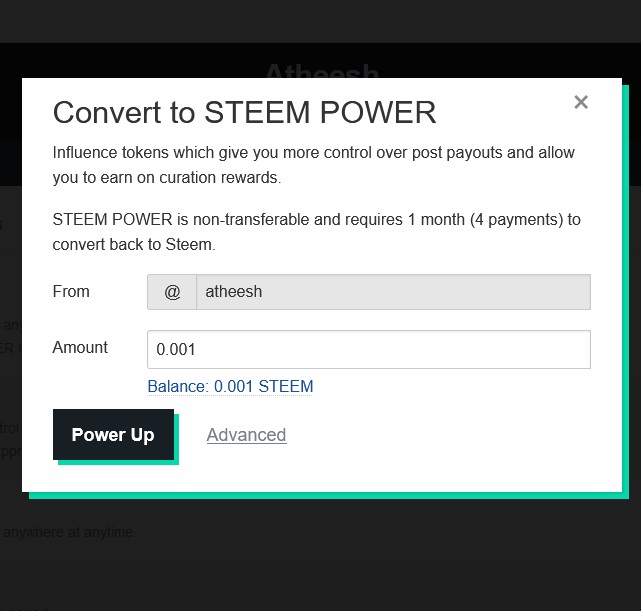steem 6.jpg