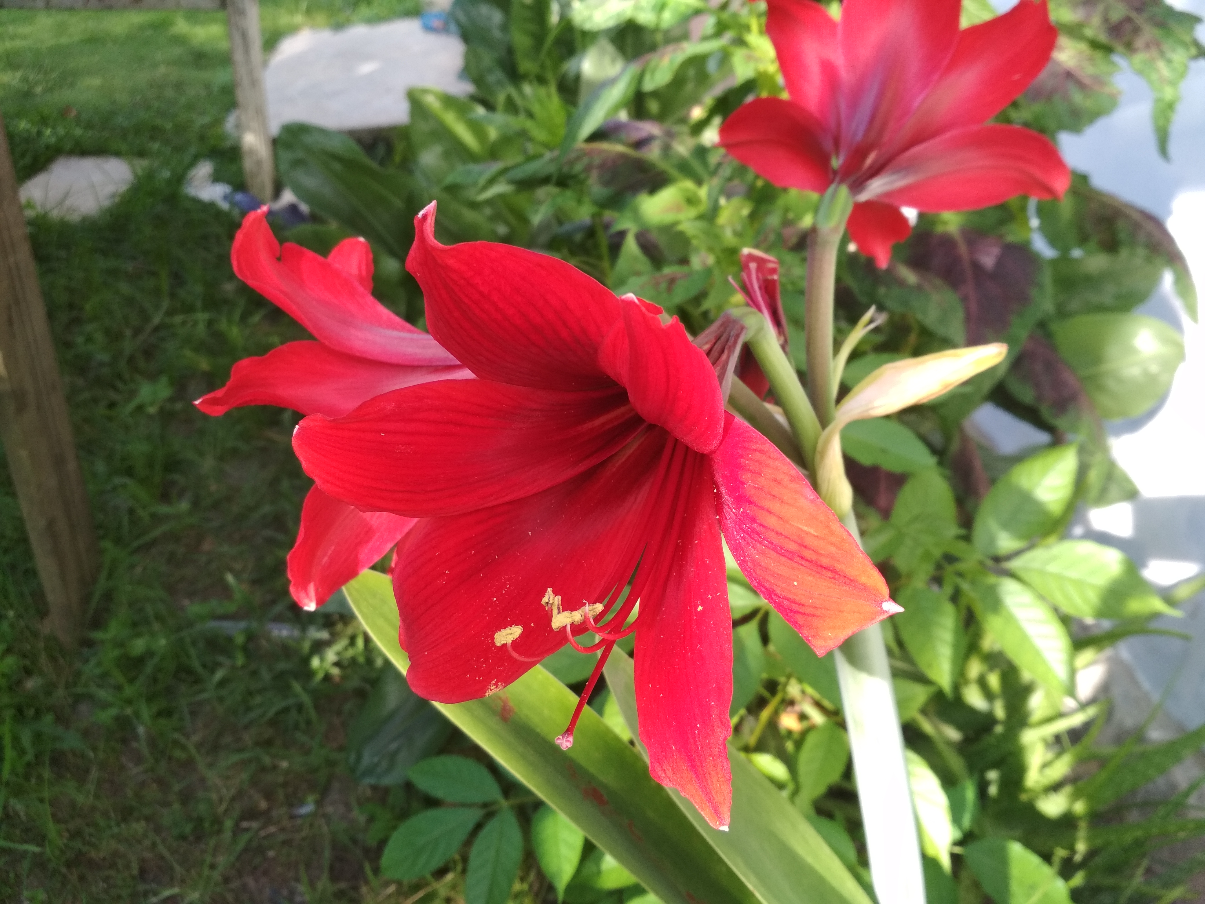 IMG_20180921_161959.jpg