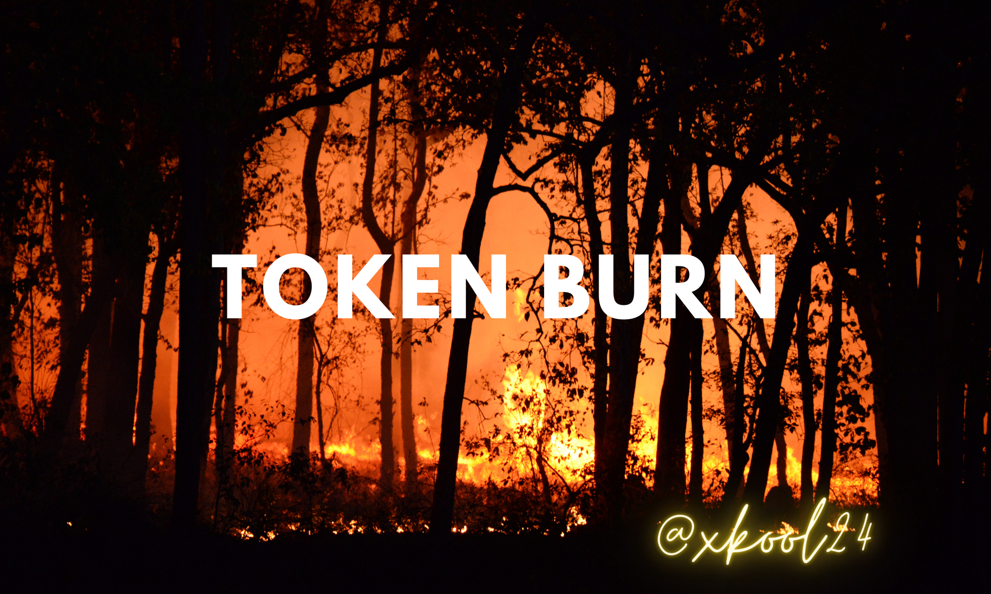 Token burn.png