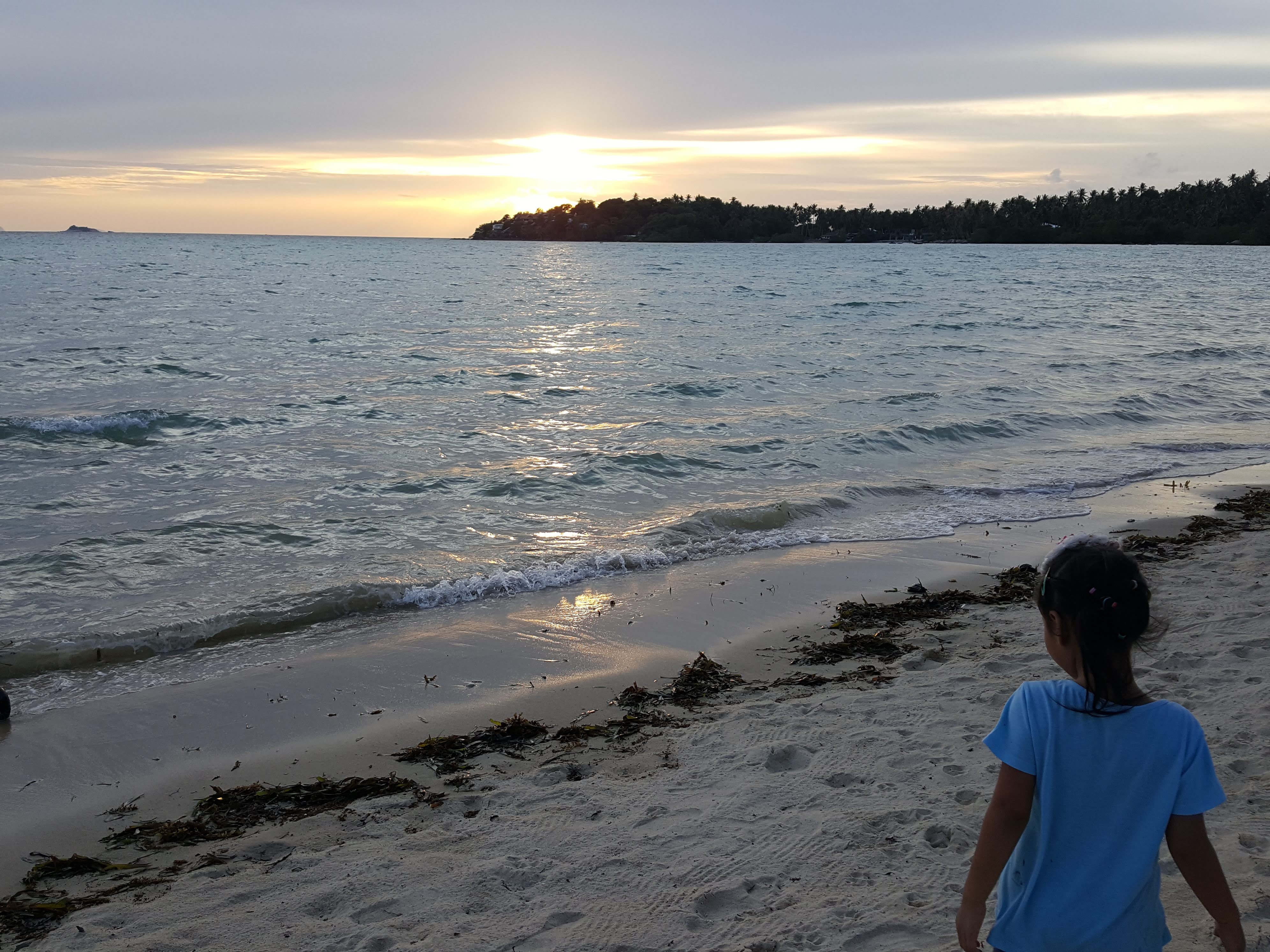 20190827_181410.jpg