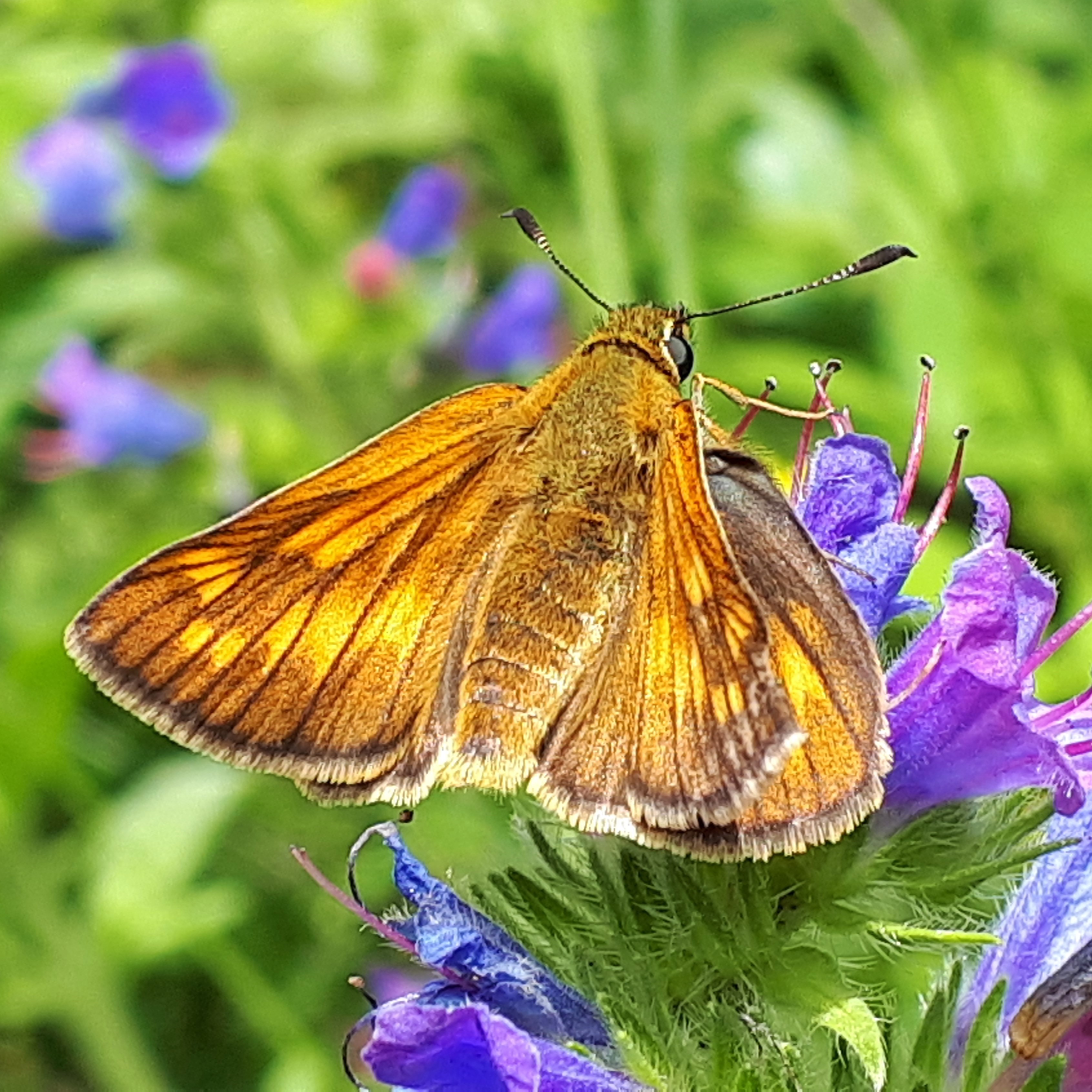 20180625_140449.jpg