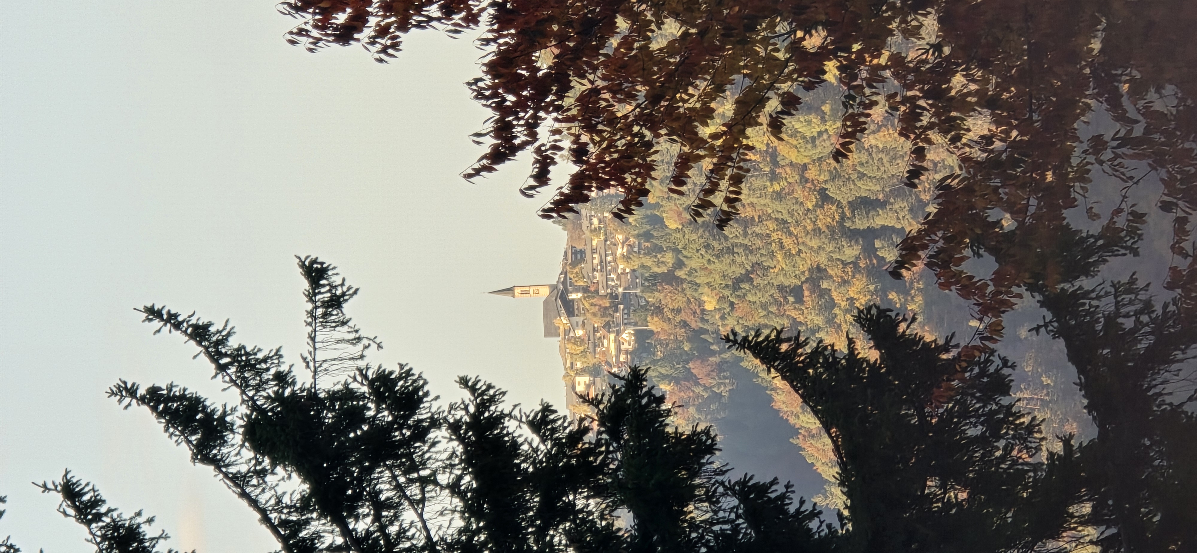20251014_171912.jpg