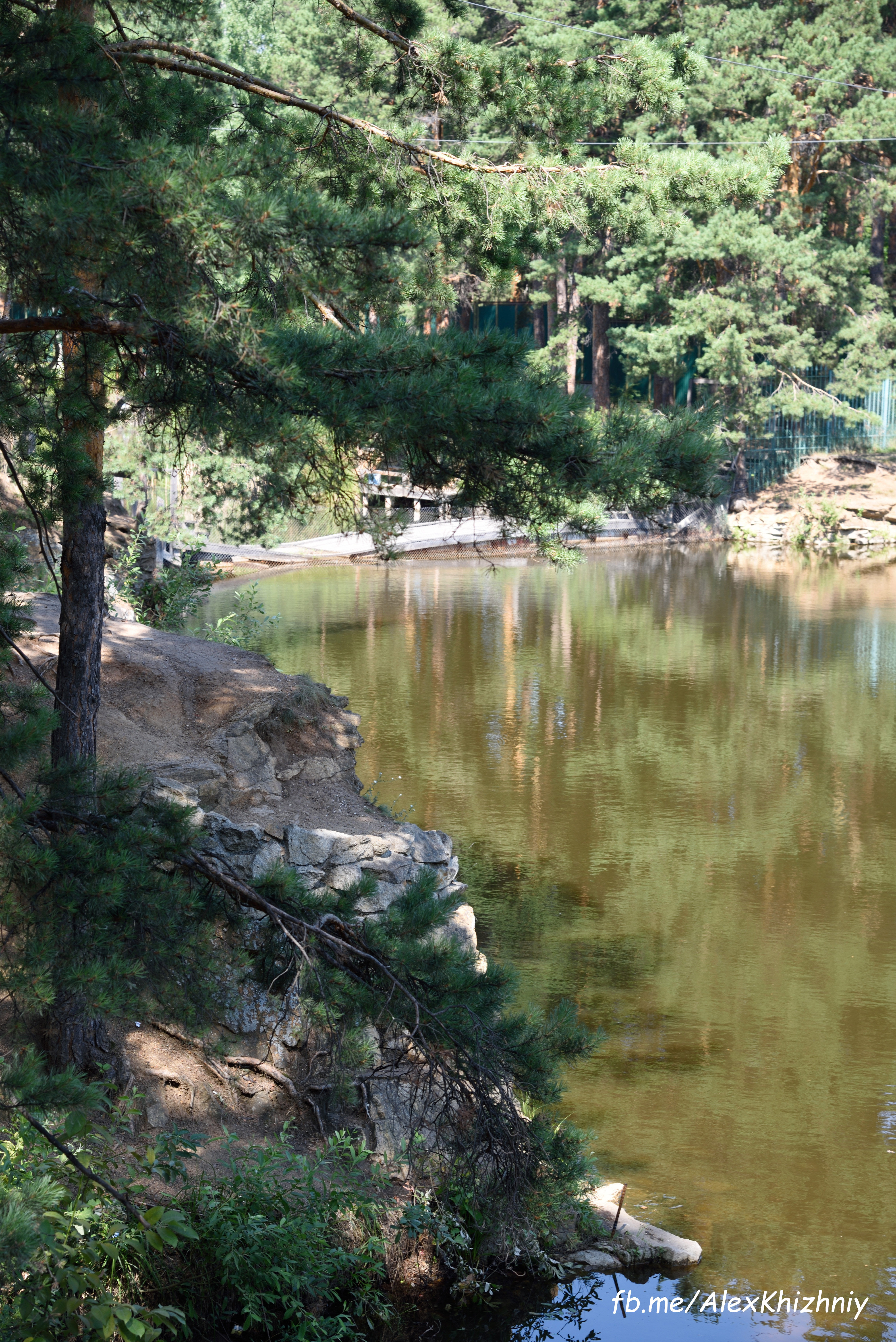 DSC_3868.jpg
