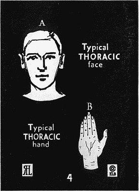 Thoracic face and hand.jpeg