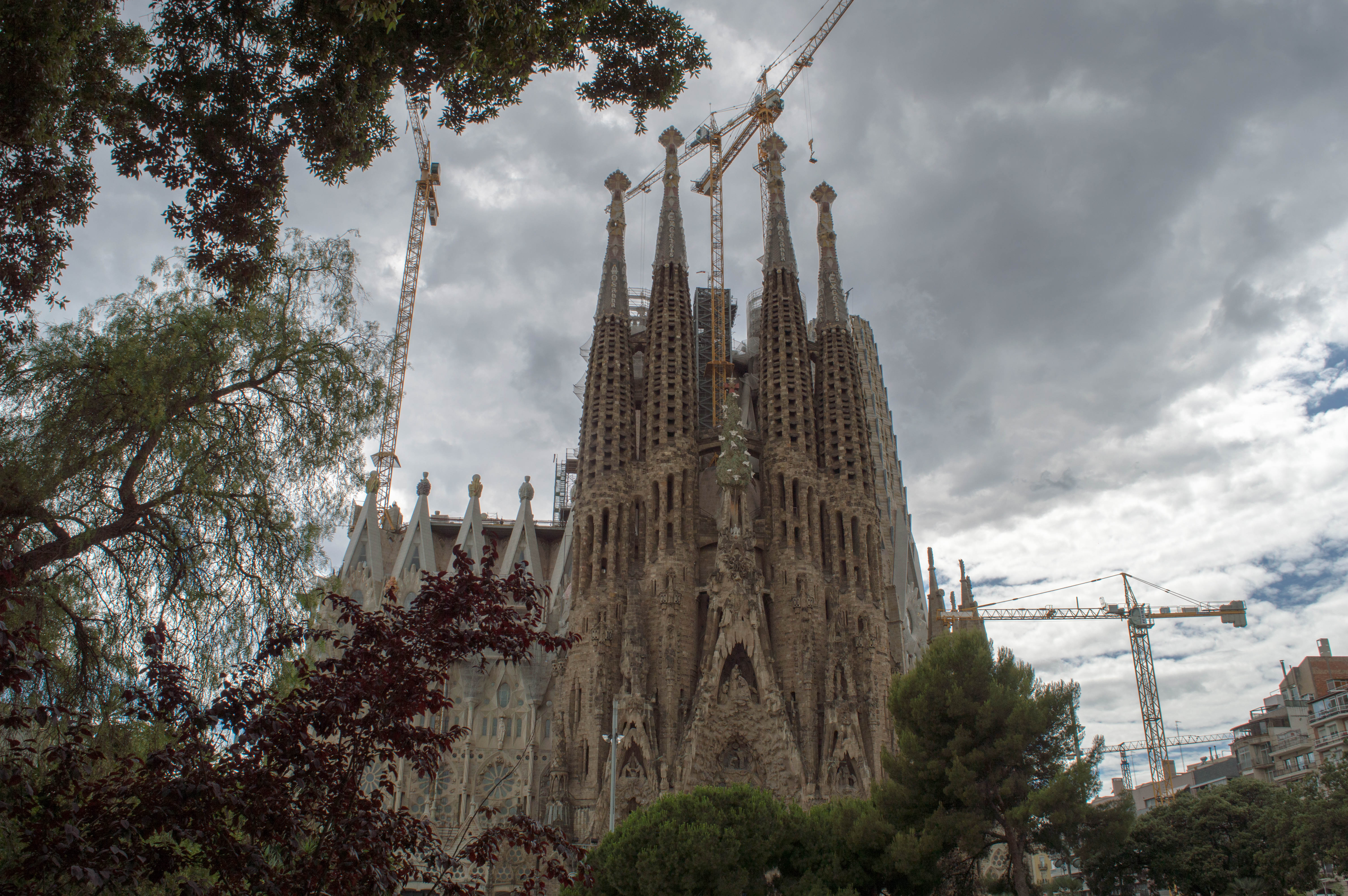 DSC_0067.jpg