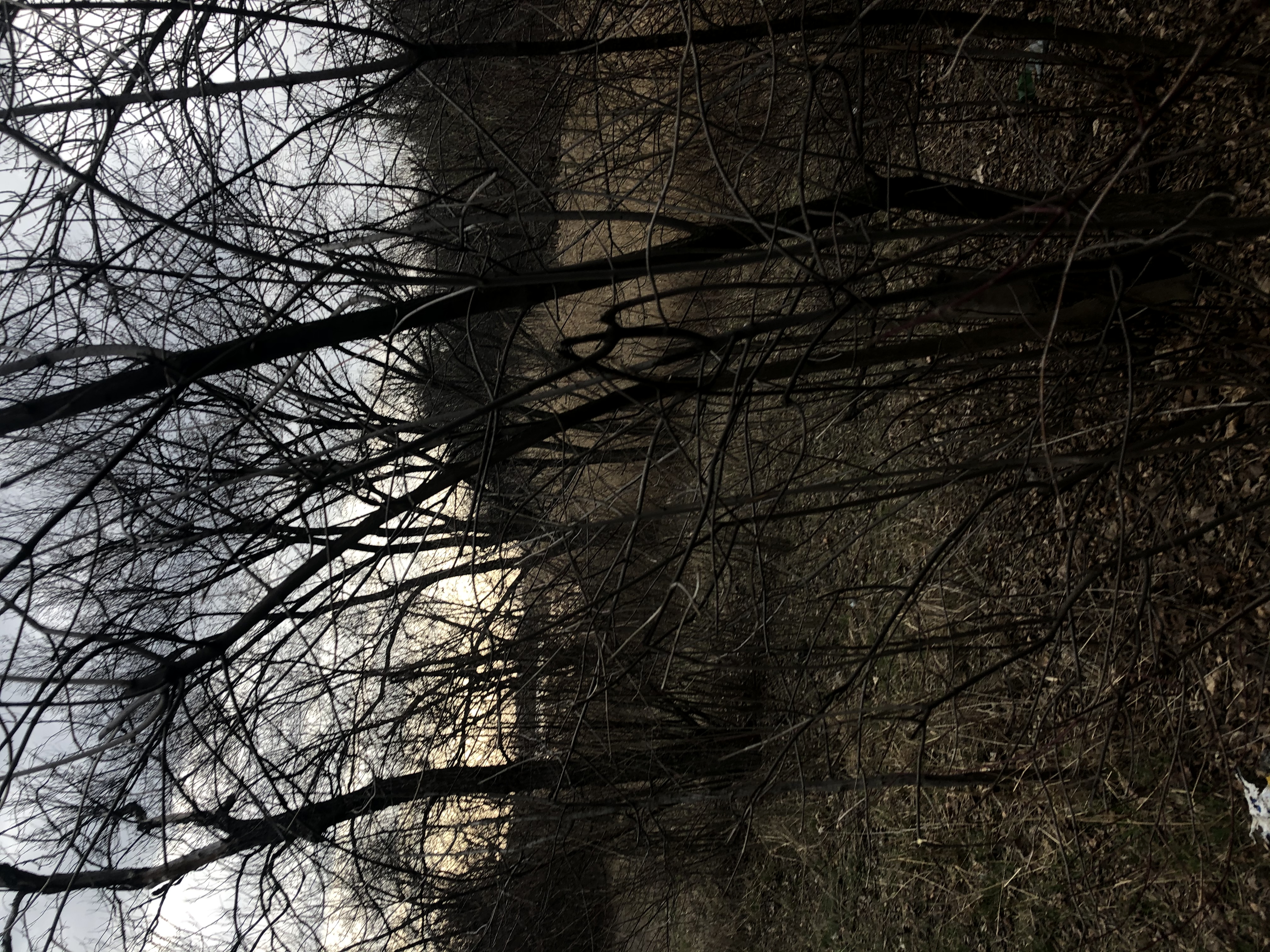 EF18EDFE-9EBB-4163-8335-3BD617ED084C.jpeg