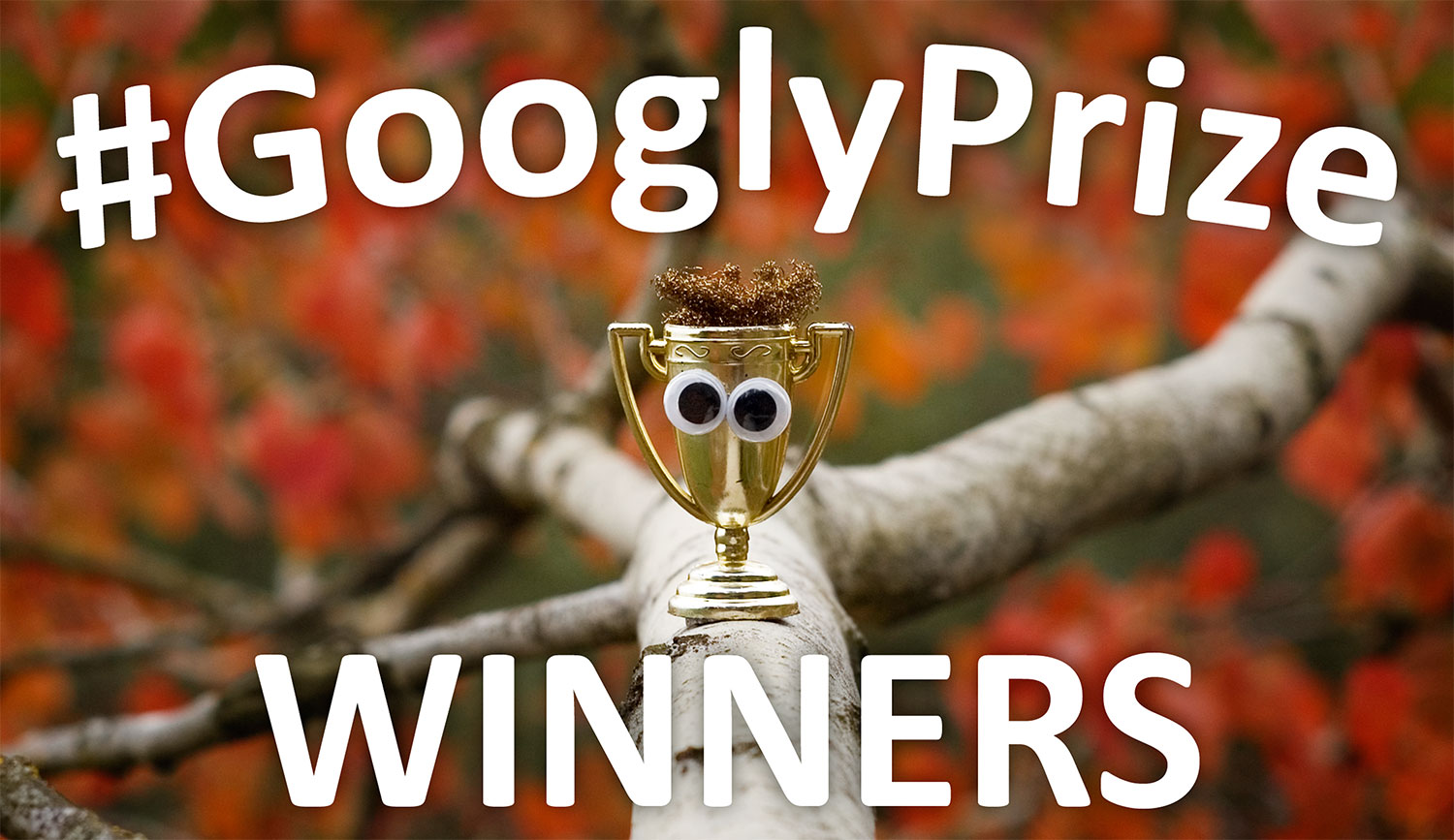 GooglyPrize GooglyEyes TitleImage Vol106