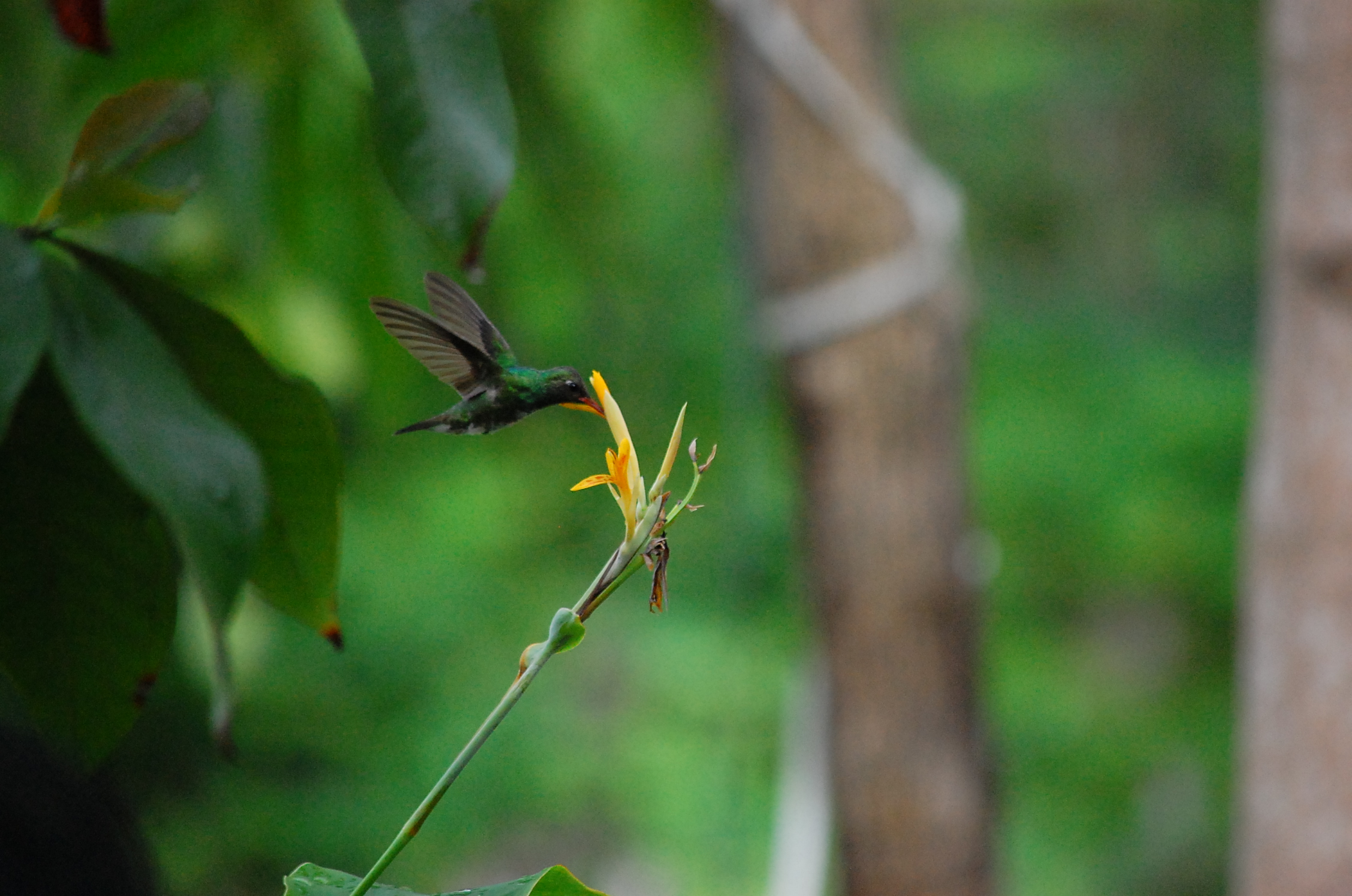 A%20DSC_0594.JPG